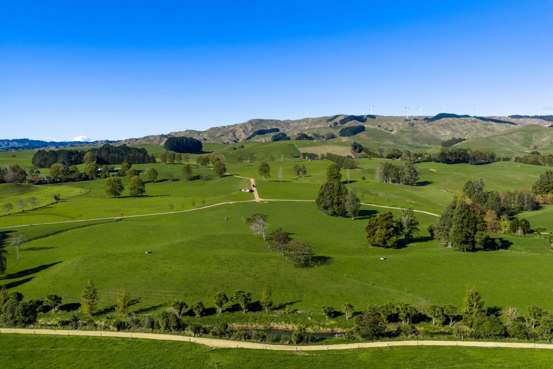 141 Te Mata Road, Raglan