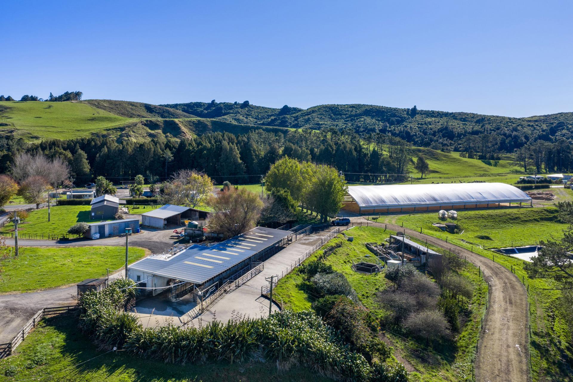 141 Te Mata Road, Raglan