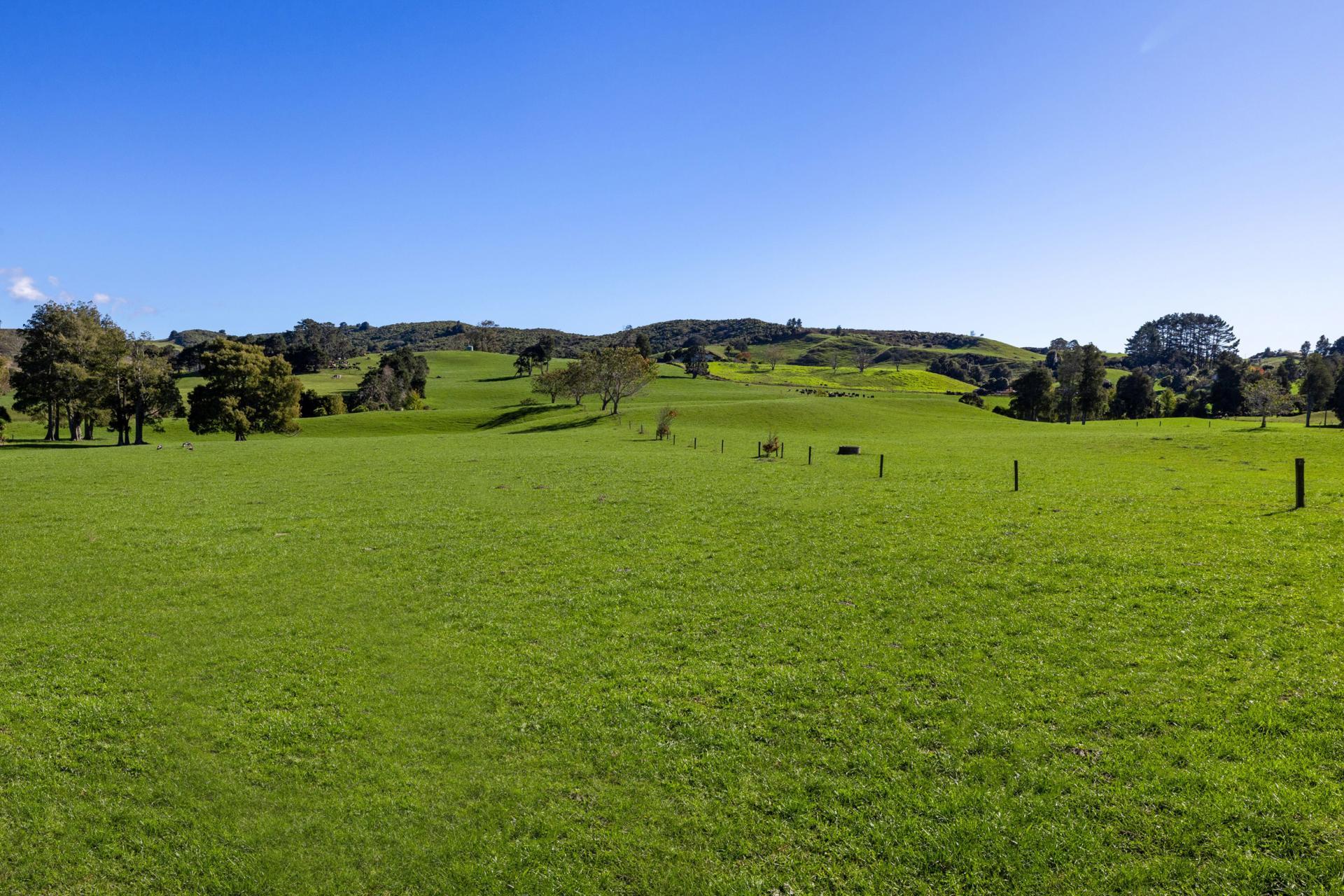 141 Te Mata Road, Raglan