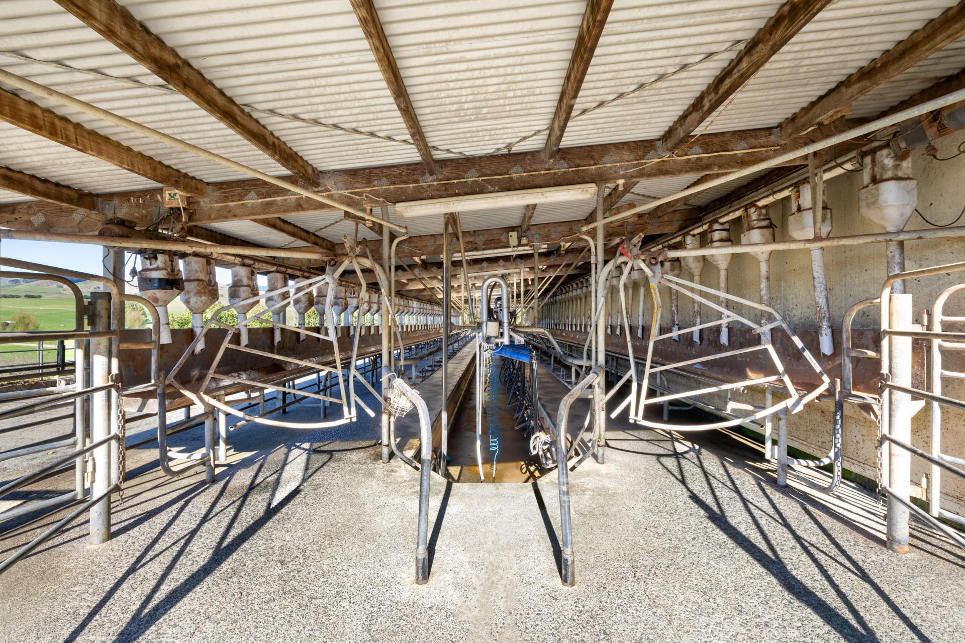 141 Te Mata Road, Raglan
