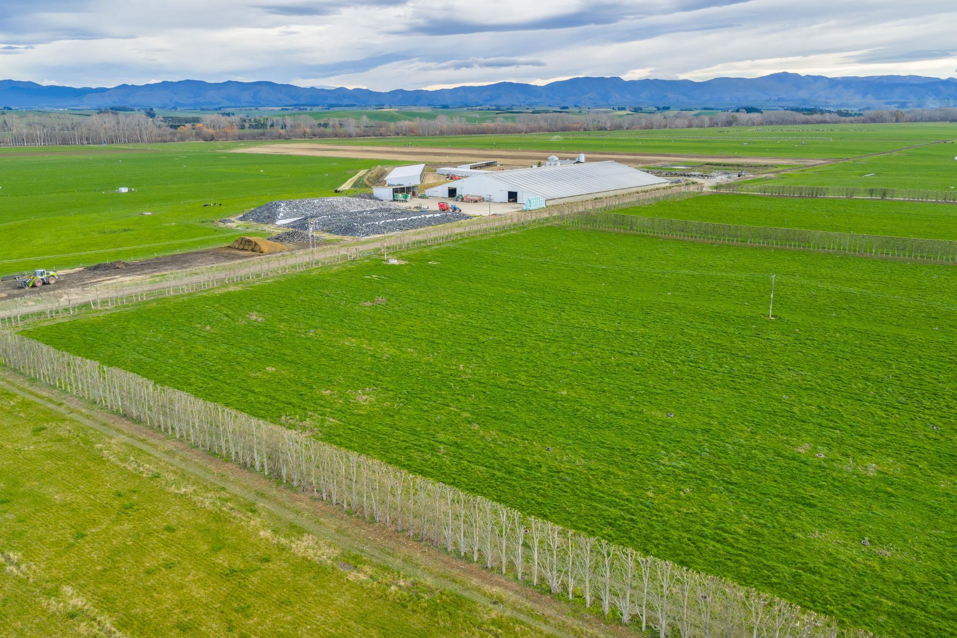 238 Pooke Road, Pareora