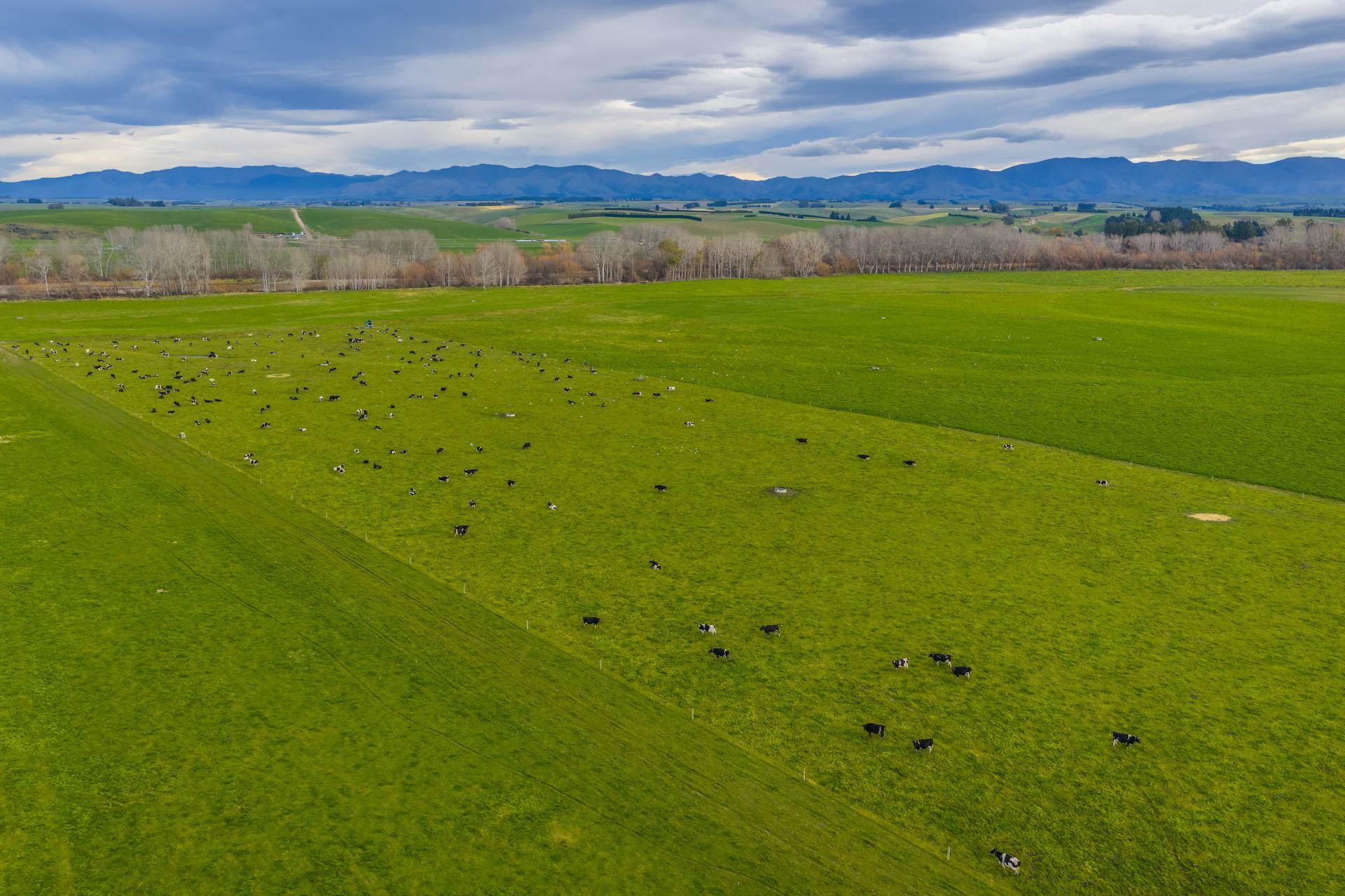 238 Pooke Road, Pareora