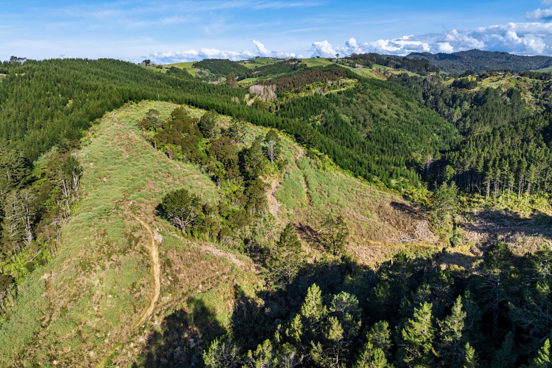 225 Rocky Cutting Road, Papamoa