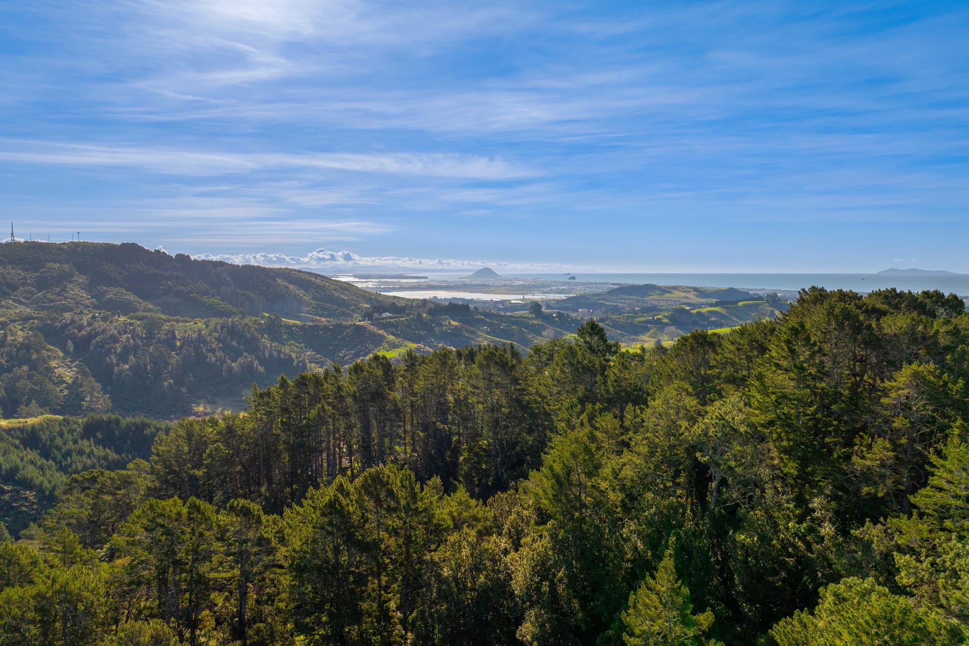 225 Rocky Cutting Road, Papamoa