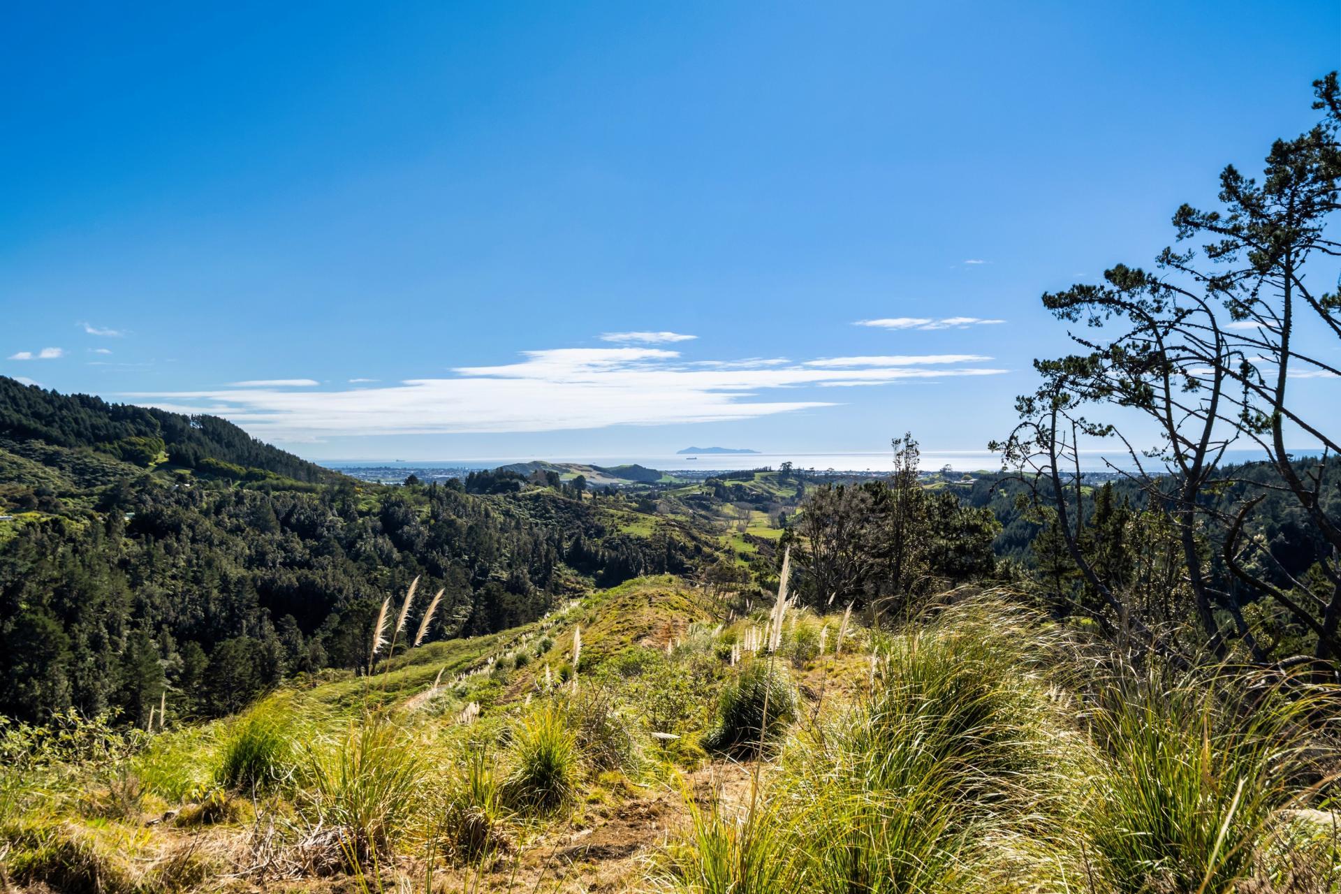 225 Rocky Cutting Road, Papamoa