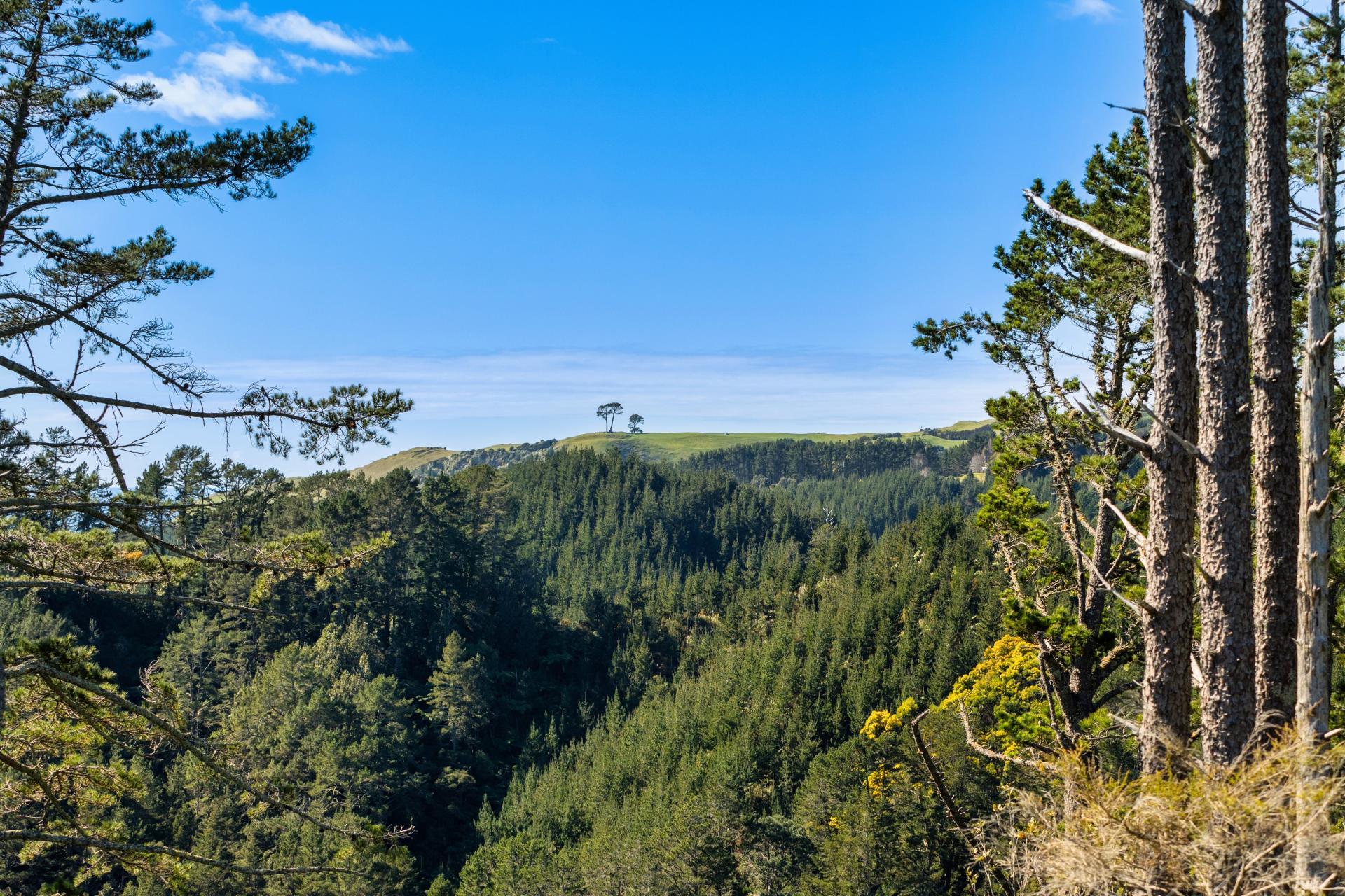 225 Rocky Cutting Road, Papamoa
