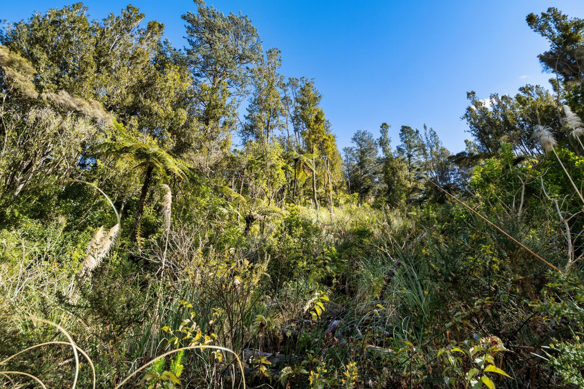 225 Rocky Cutting Road, Papamoa