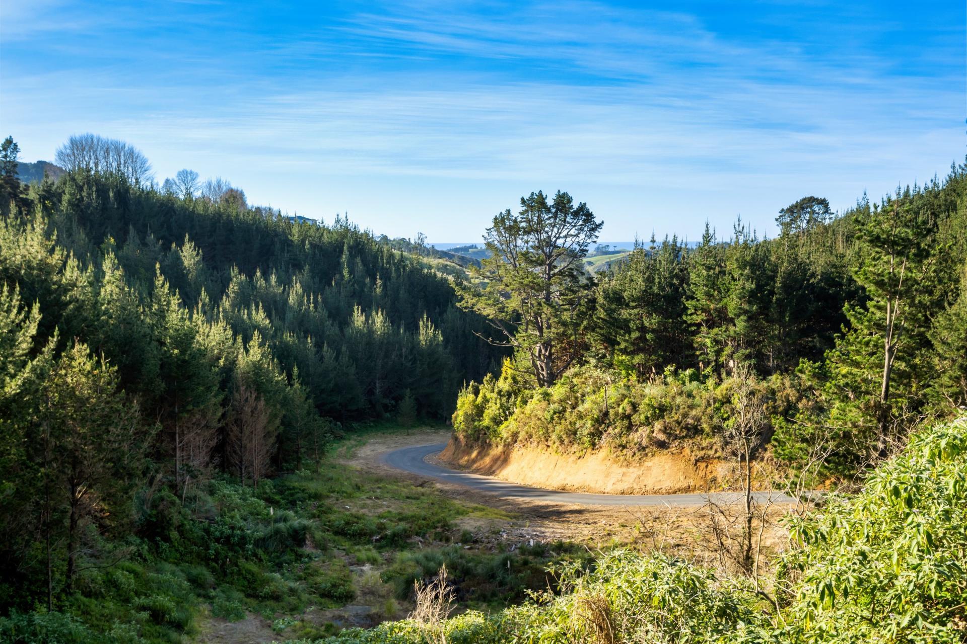 225 Rocky Cutting Road, Papamoa