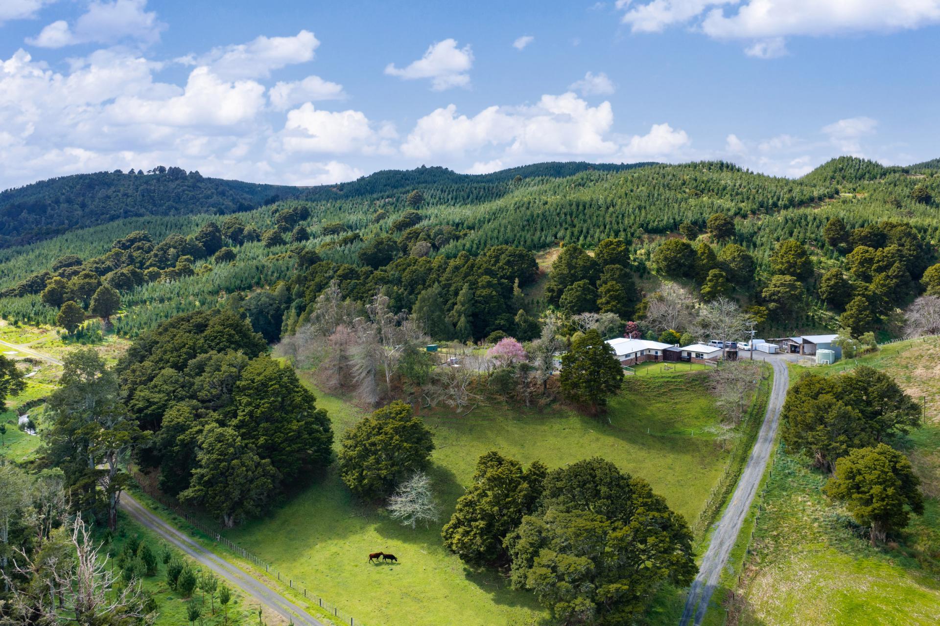 5209 Highway 22, Waingaro