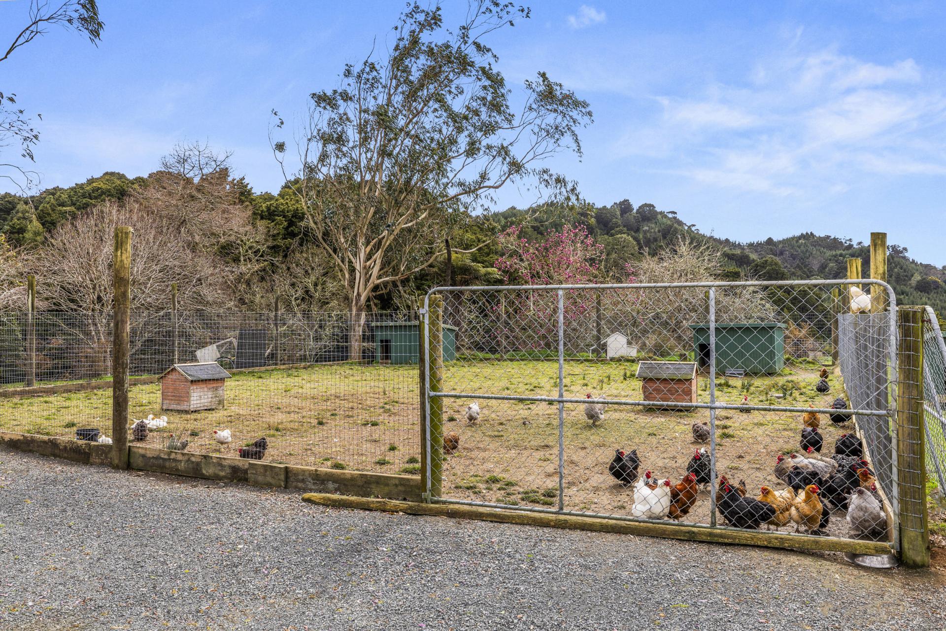5209 Highway 22, Waingaro