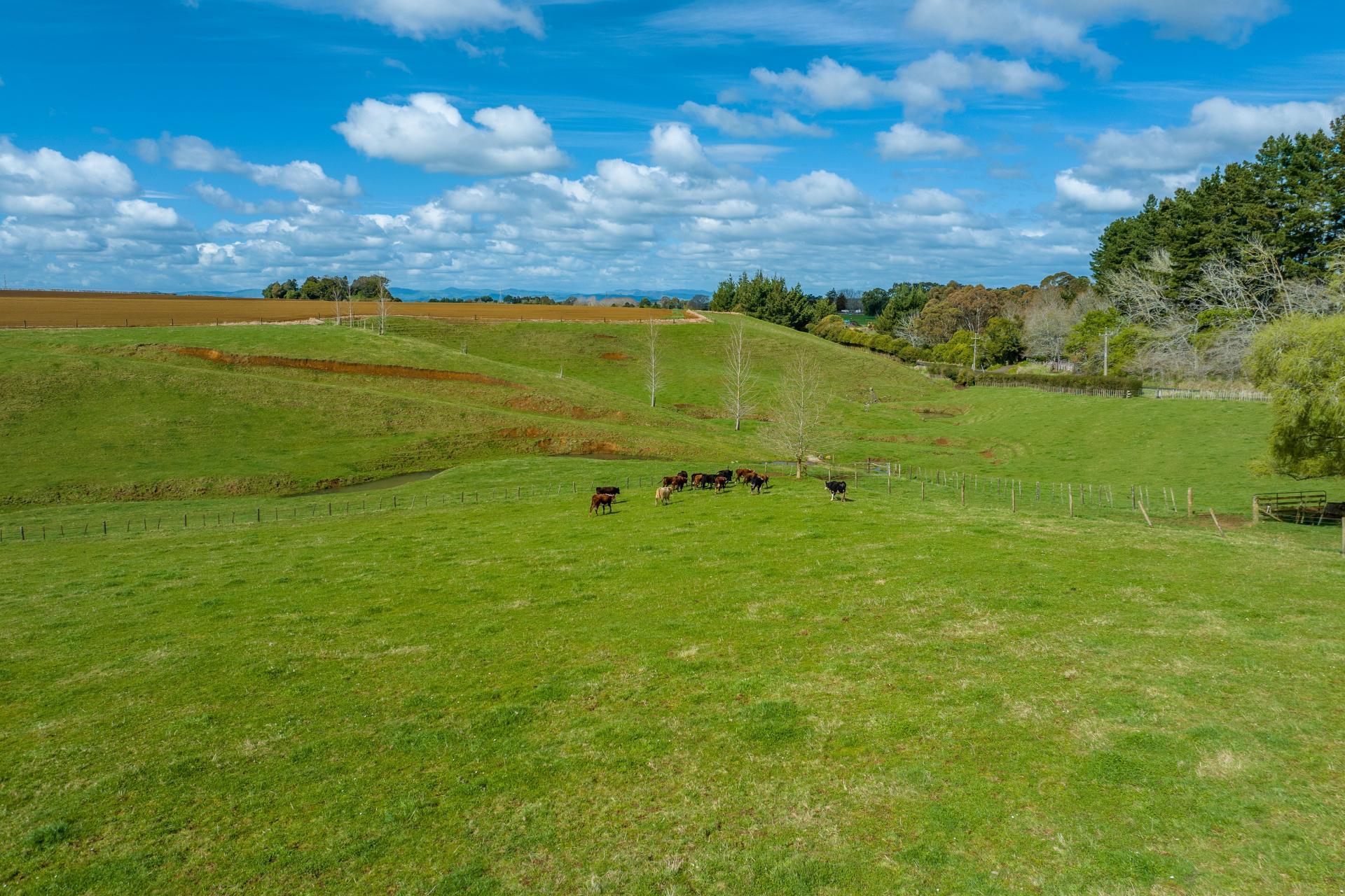 1626 Churchill Road, Pukekawa