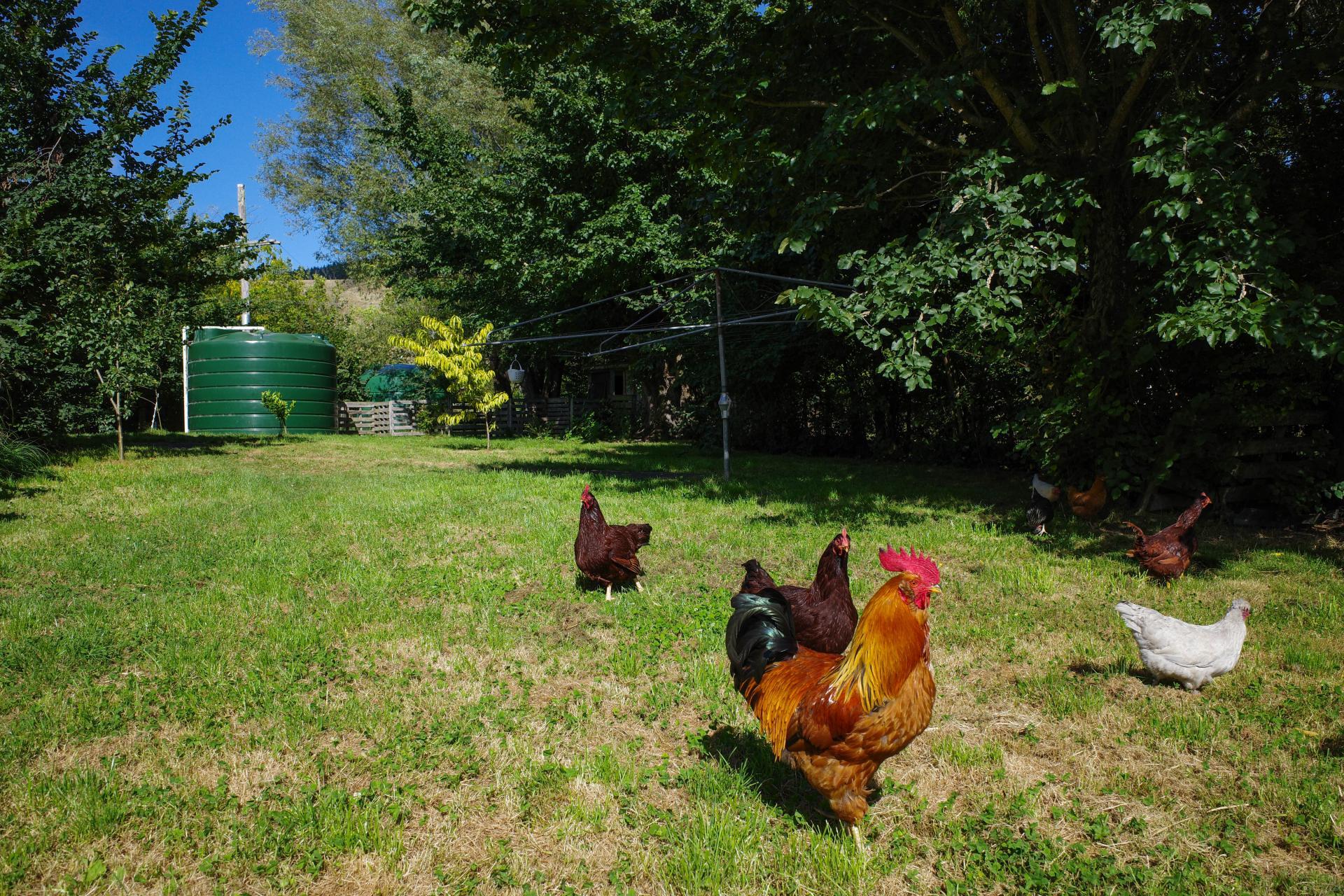 3345 Weber Road, Dannevirke