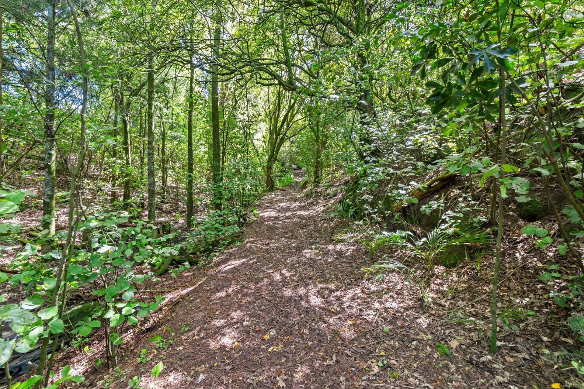 203 Fergusson Road, Halcombe