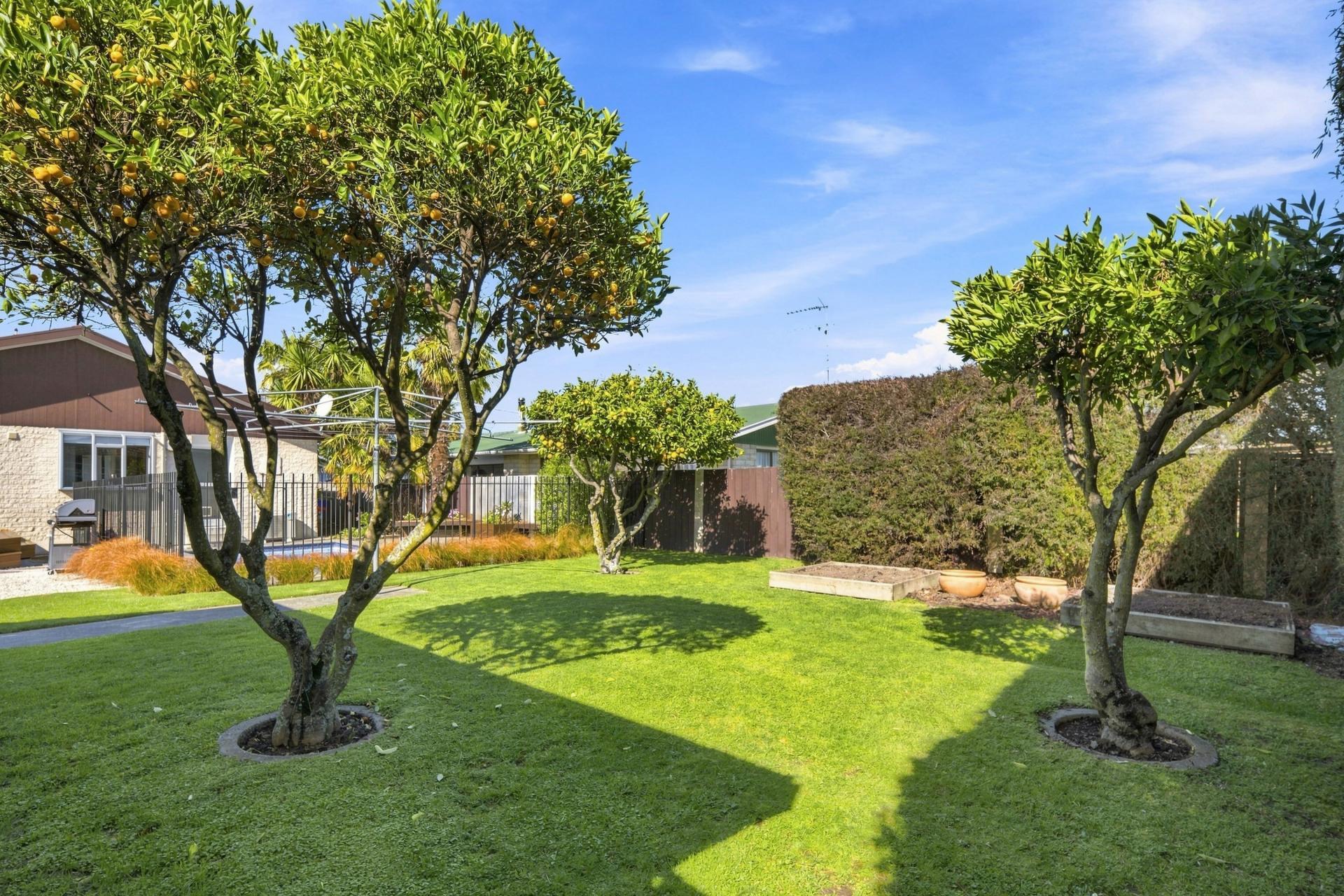5 Argosy Place, Blenheim