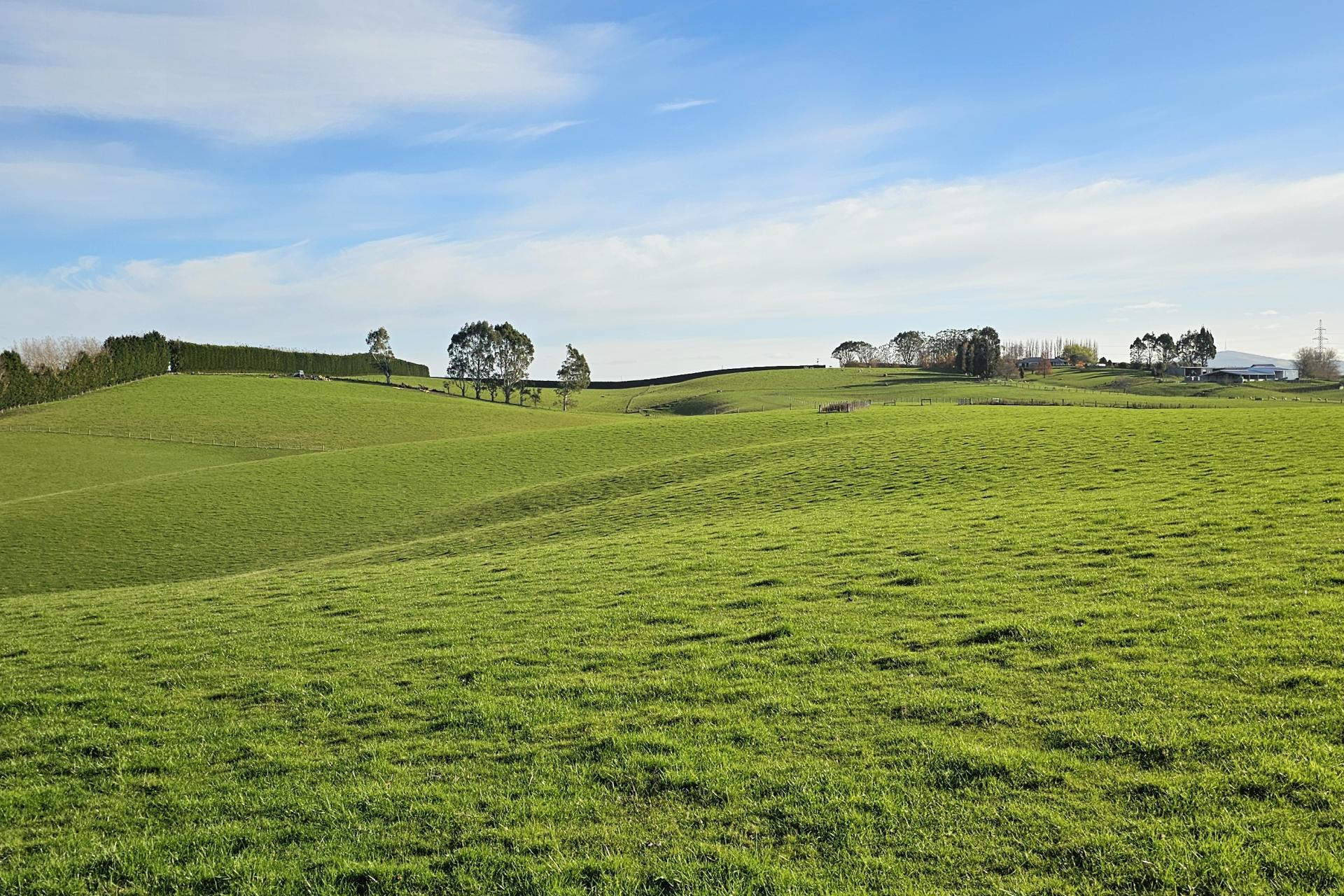 Waimumu