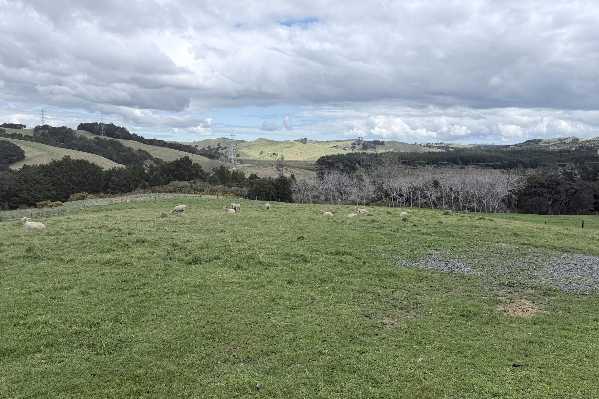 54A Ross Road, Topuni