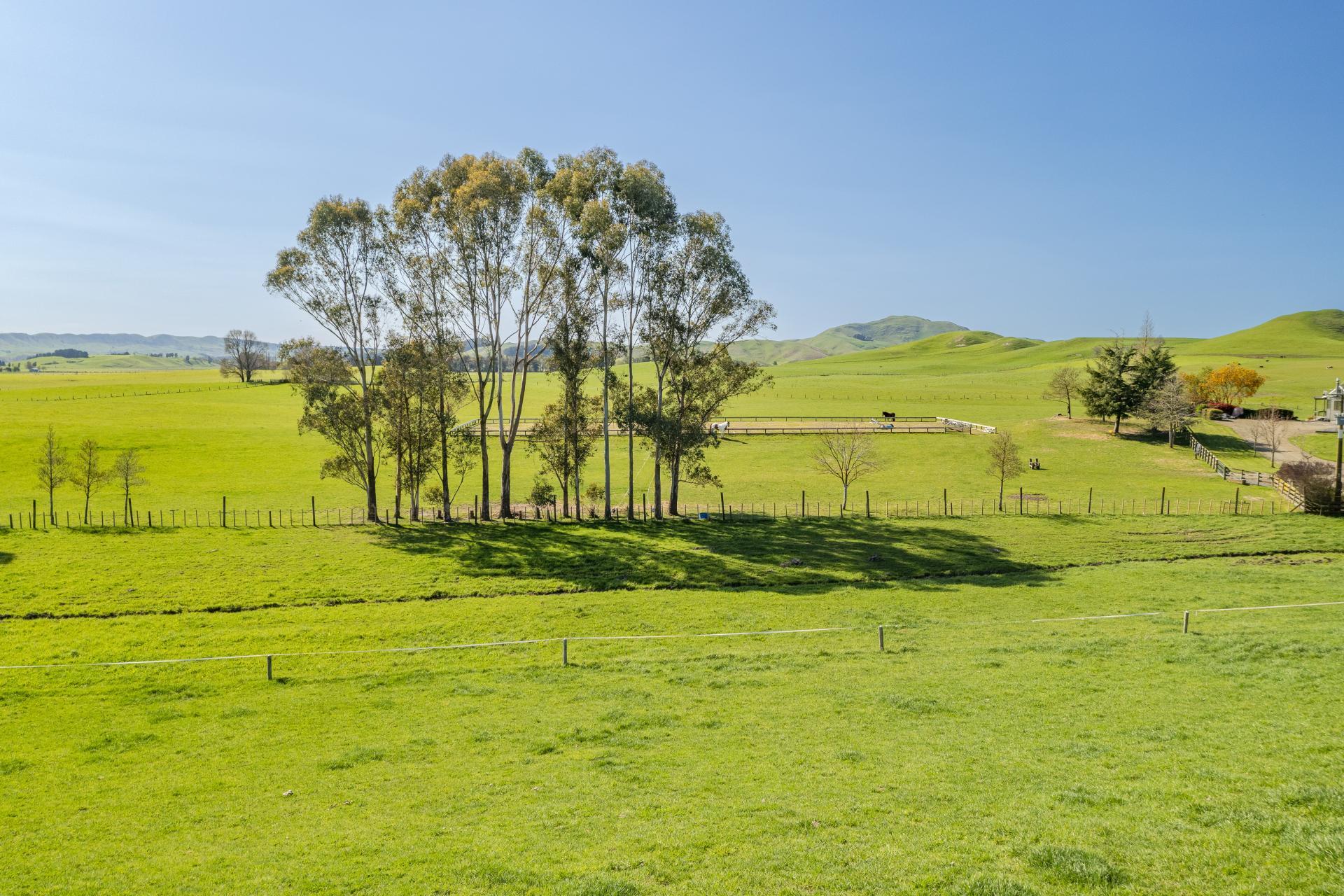 199B Elsthorpe Road, Otane