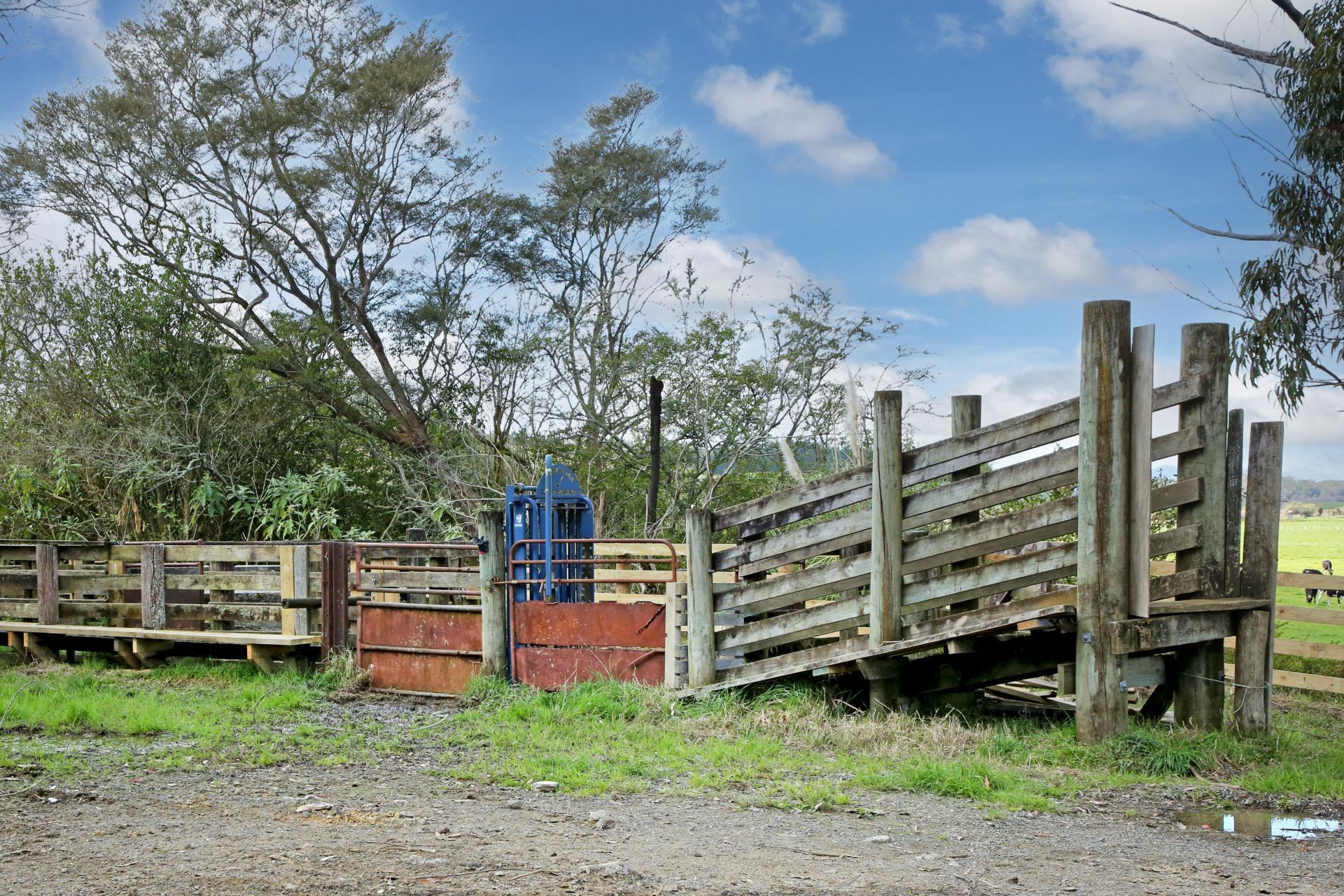 Oram Road, Mercer