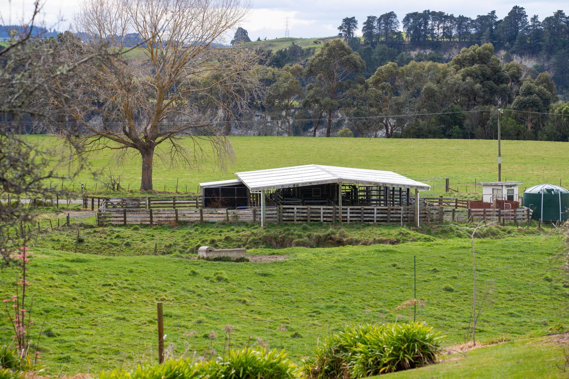 165 Lower Flag Range Road, Sherenden