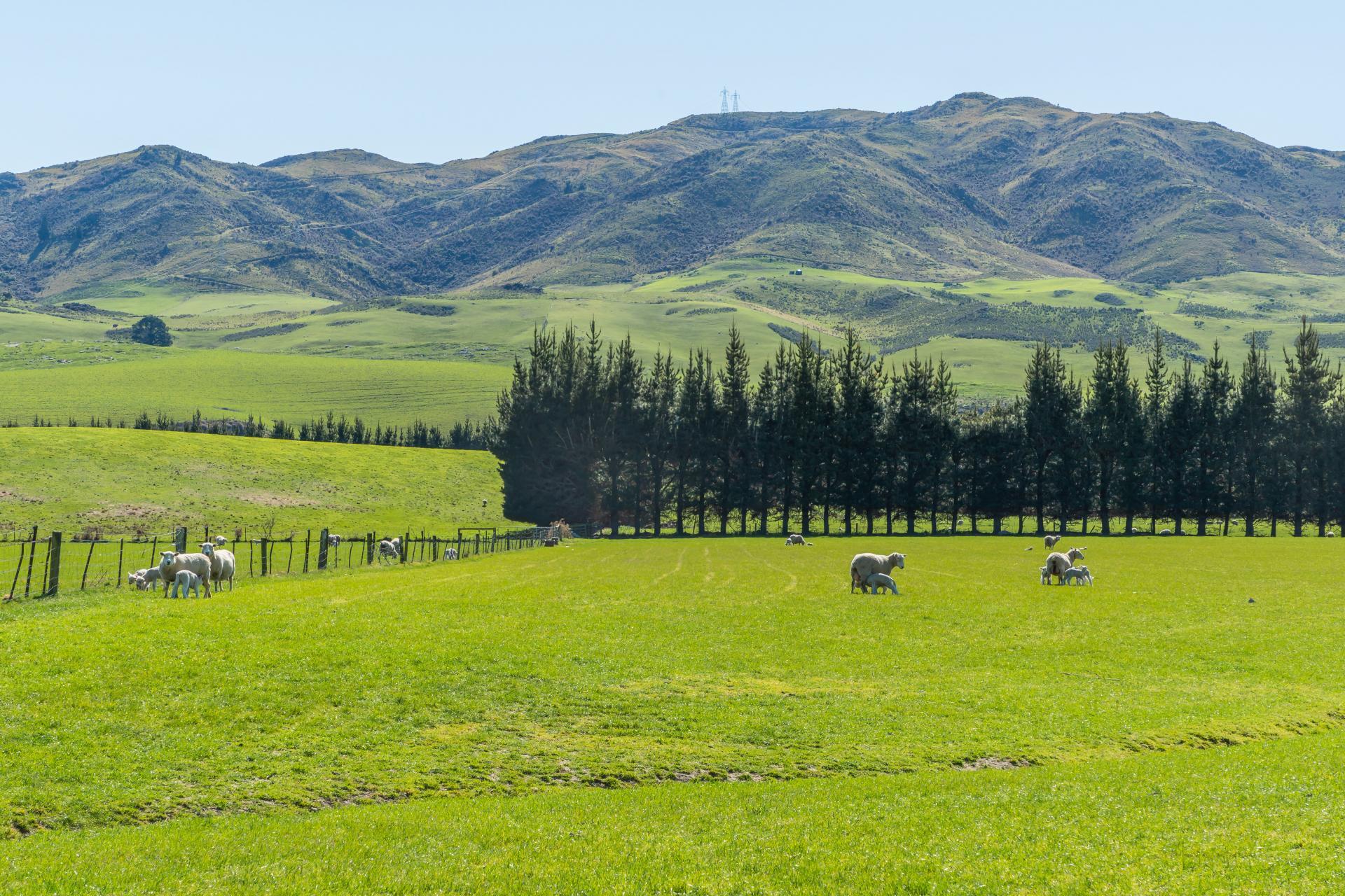 554 Waikari Valley Road, Scargill