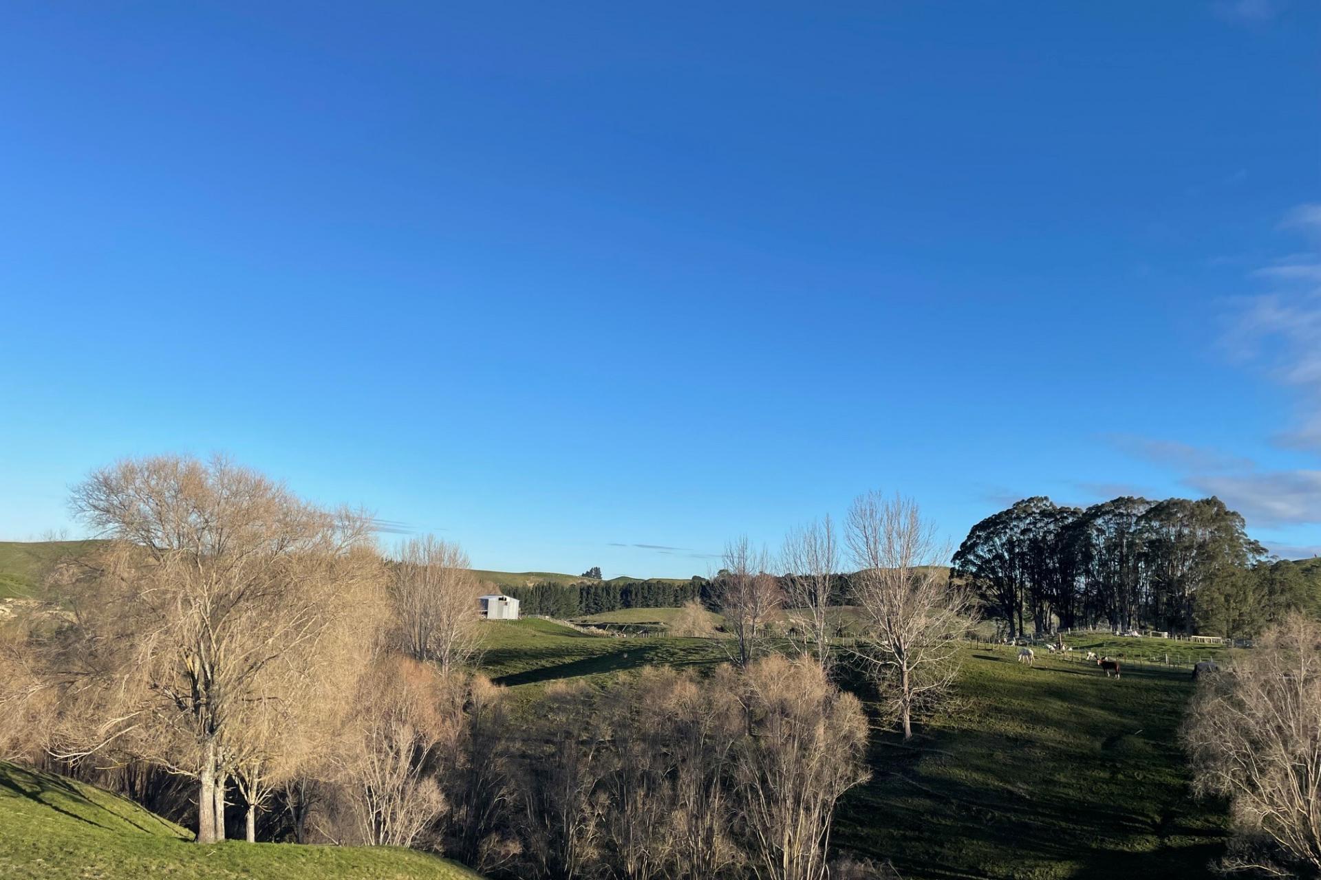 612 Flag Range Road, Sherenden