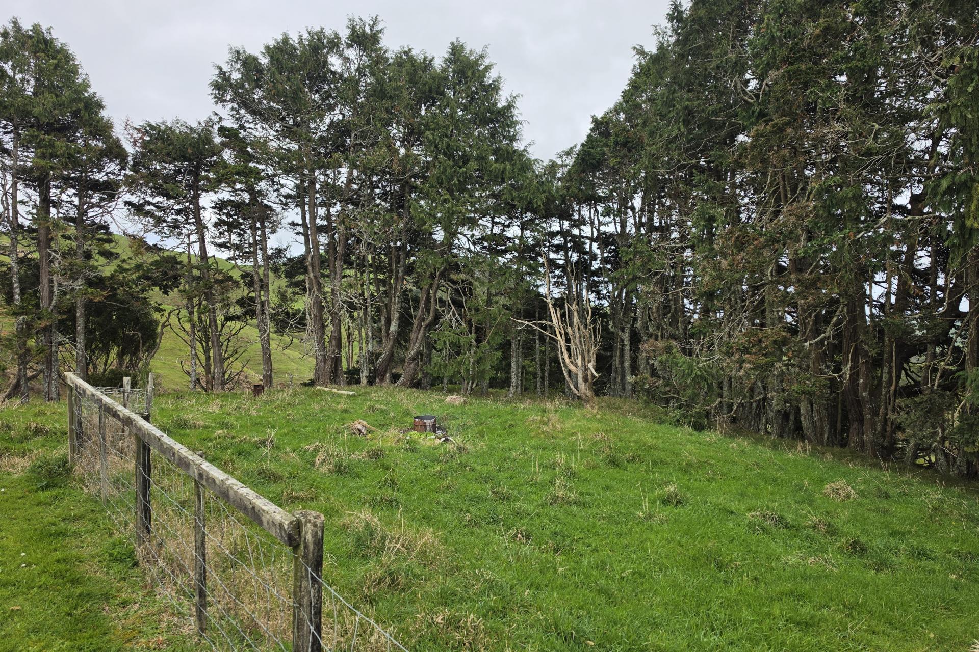 728 Kawhia Road, Makomako