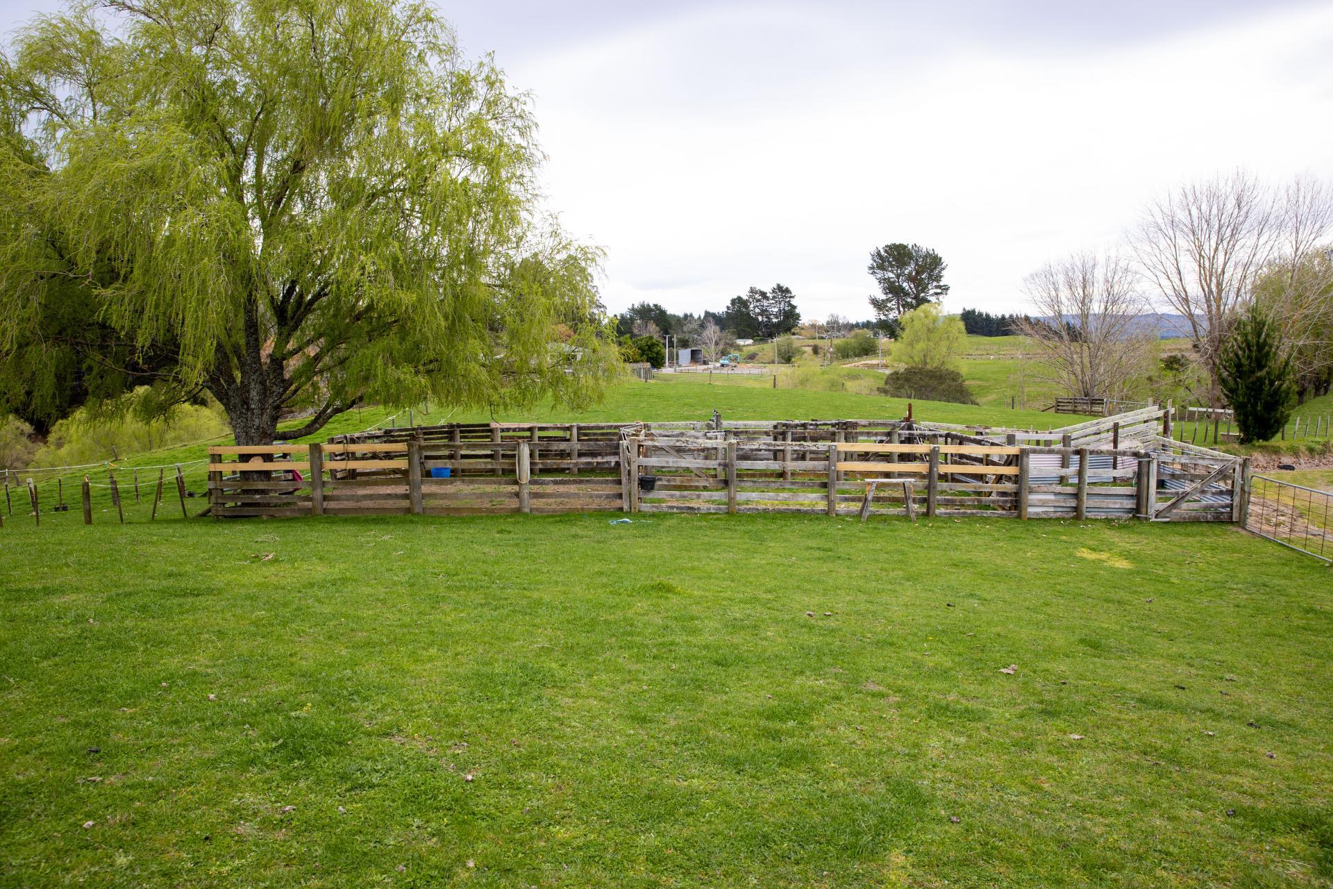 612 Flag Range Road, Sherenden