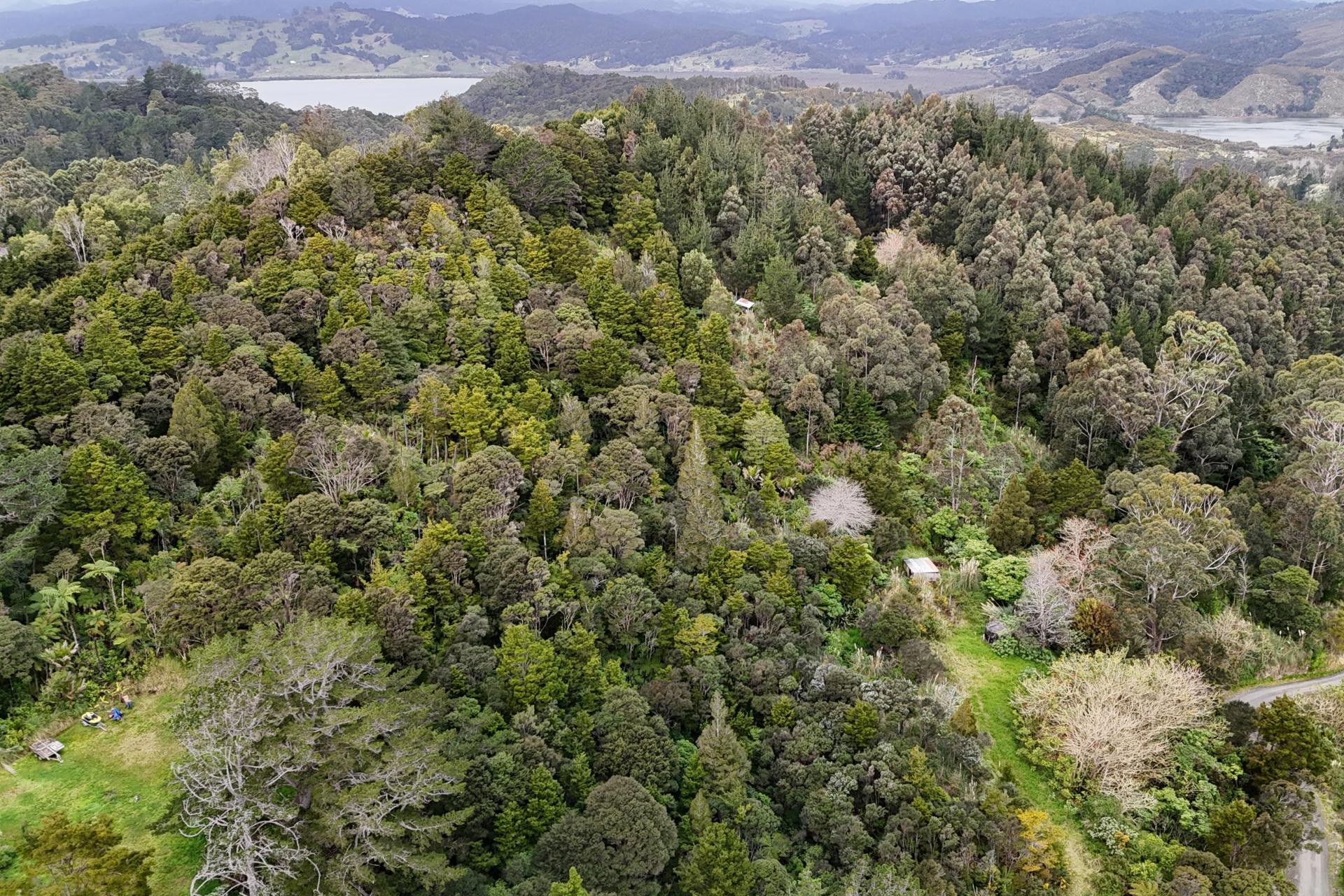 211 Creamery Road, Kohukohu