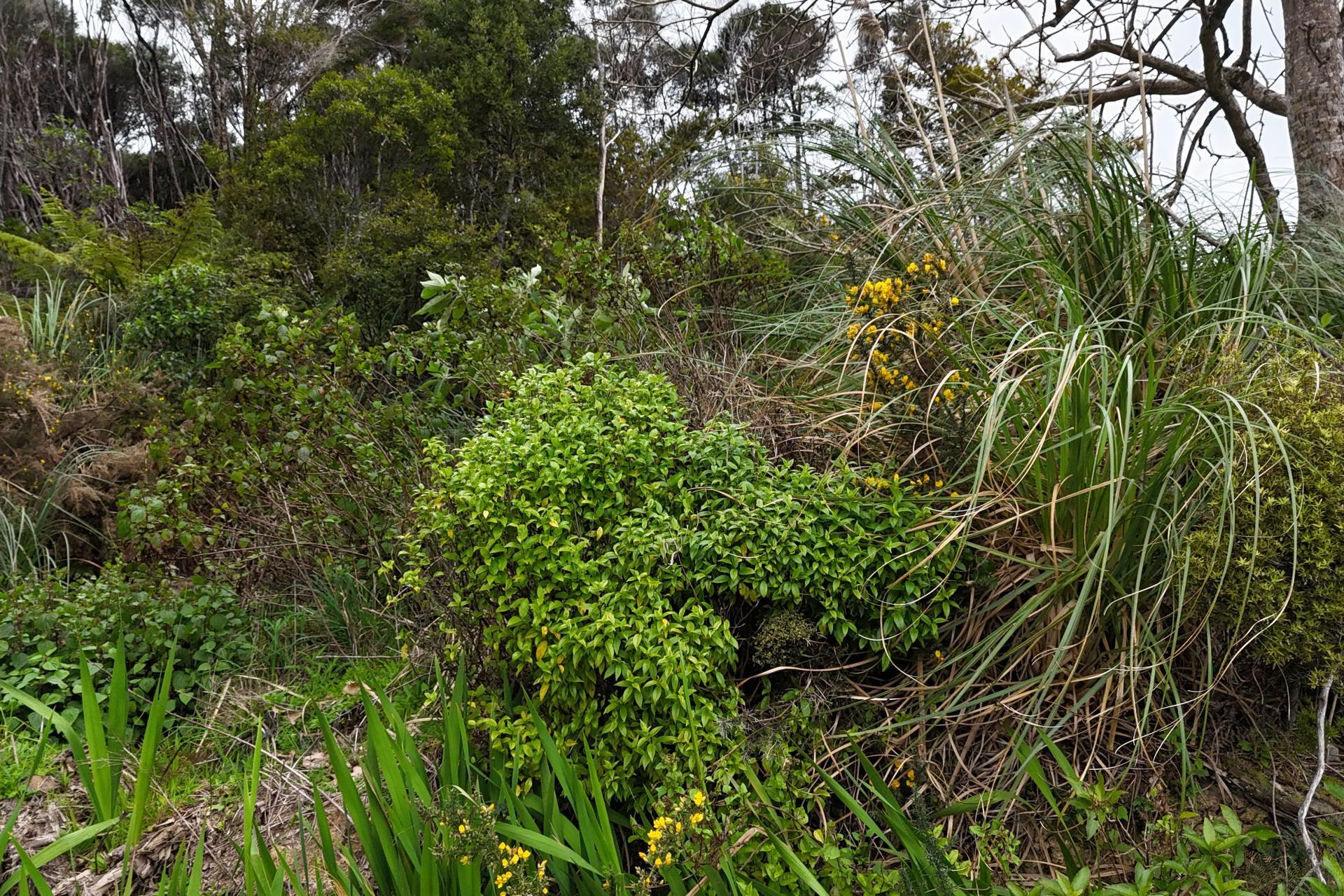 211 Creamery Road, Kohukohu