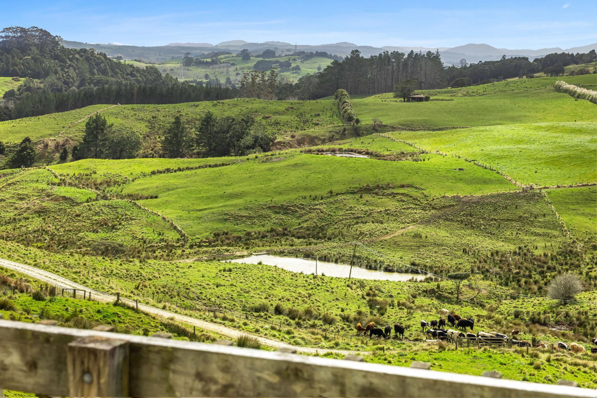 115 Biddle Road, Wellsford