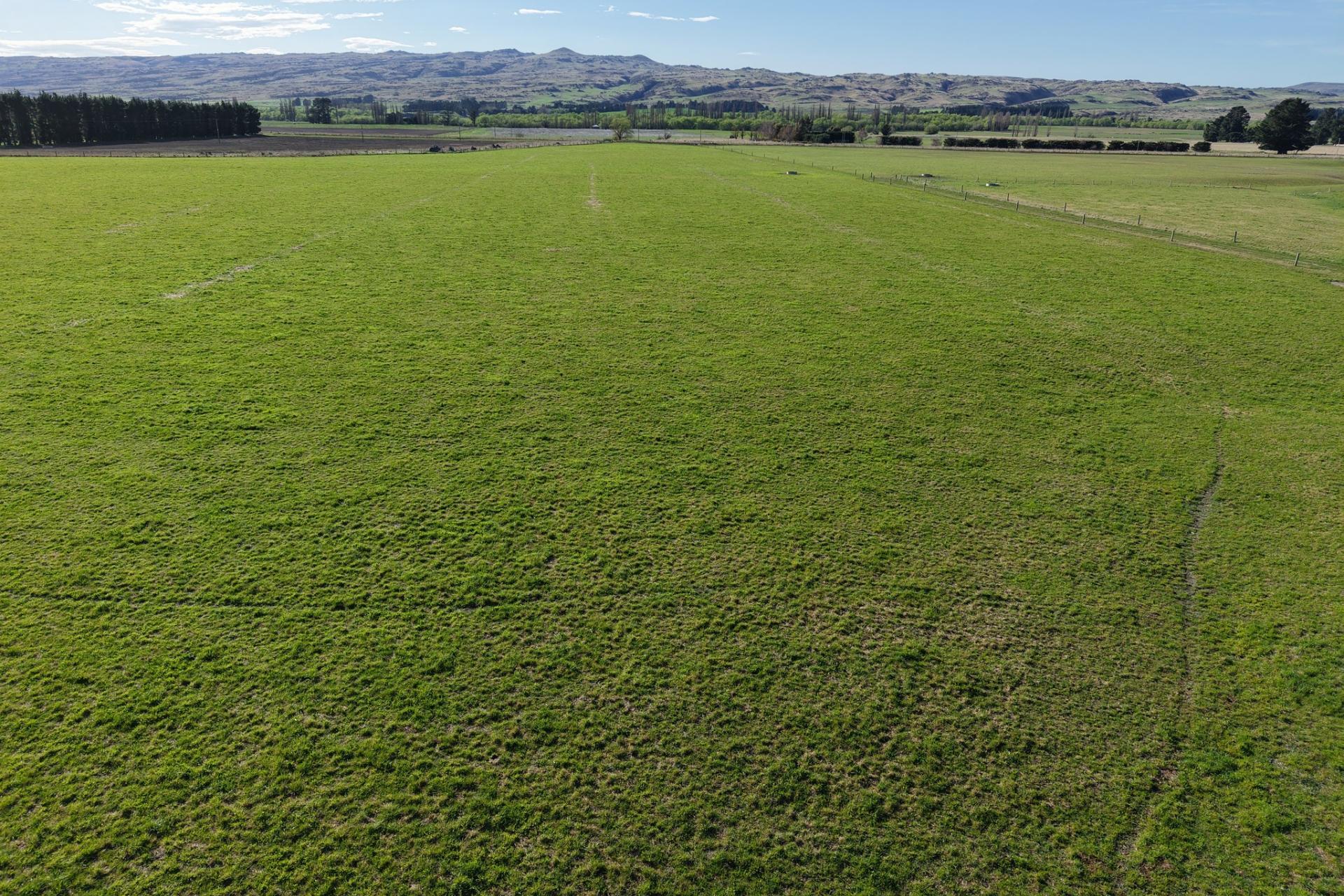 6648 Hyde-Middlemarch Road, Middlemarch