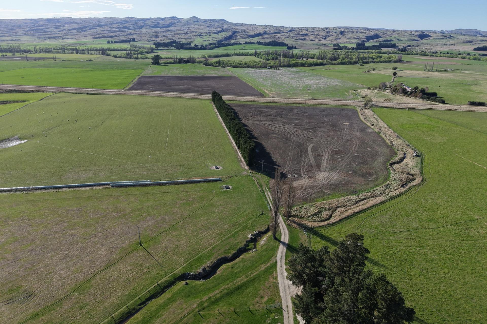 6648 Hyde-Middlemarch Road, Middlemarch