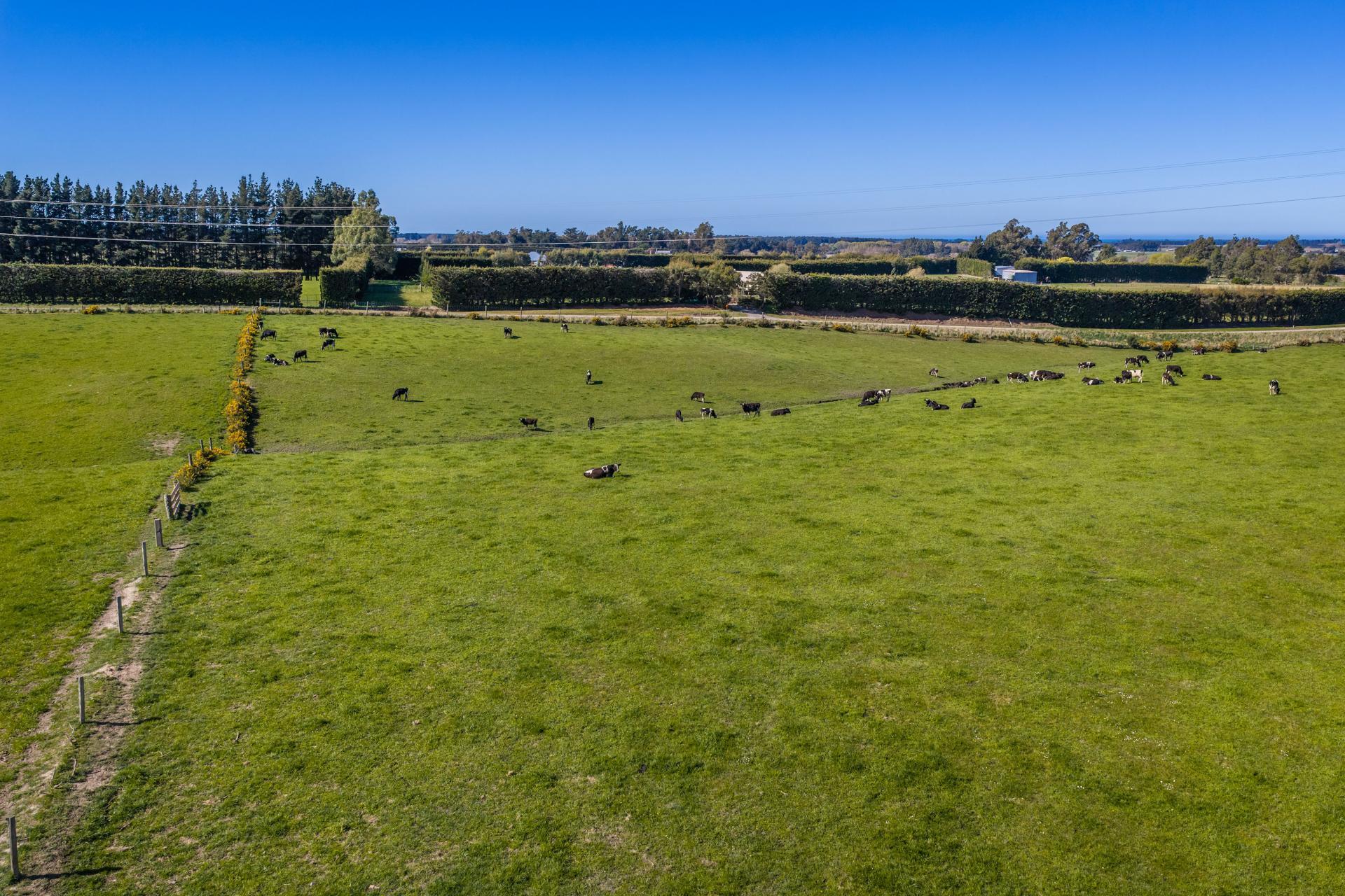 266 Rangiora Leithfield Road, Sefton
