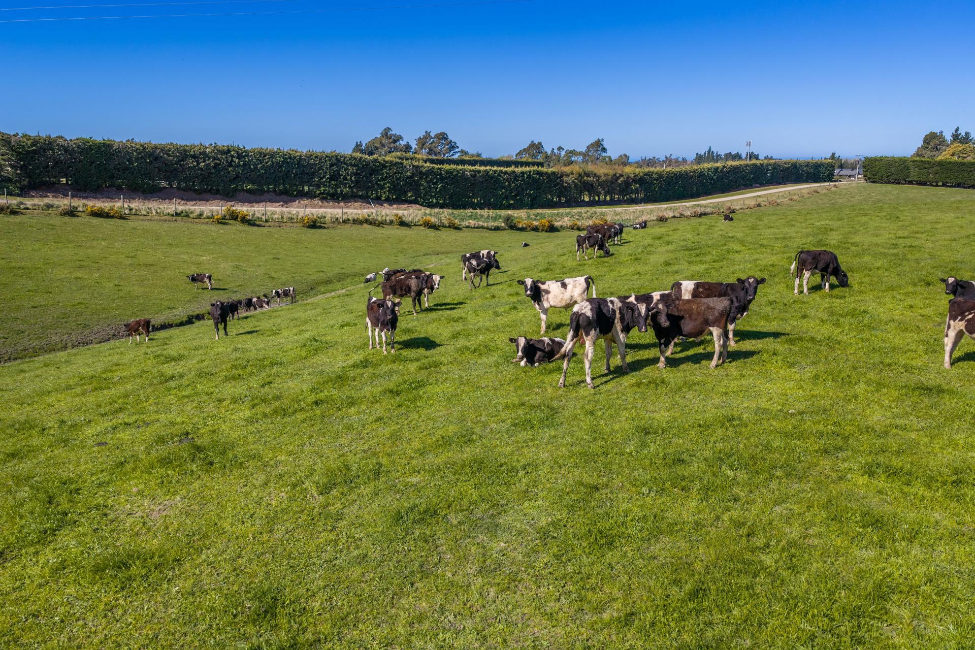 266 Rangiora Leithfield Road, Sefton