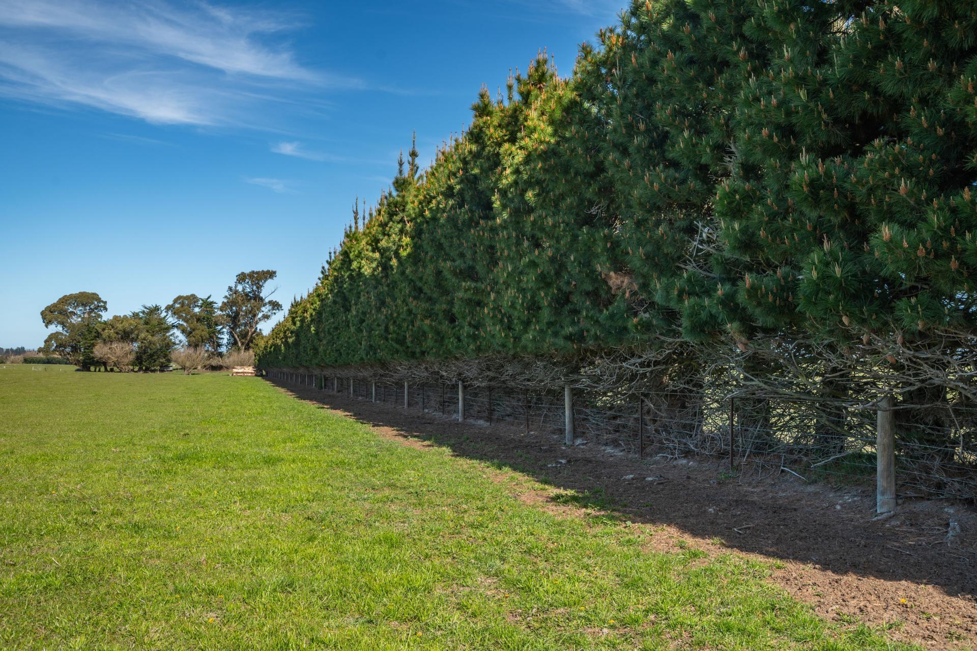 266 Rangiora Leithfield Road, Sefton
