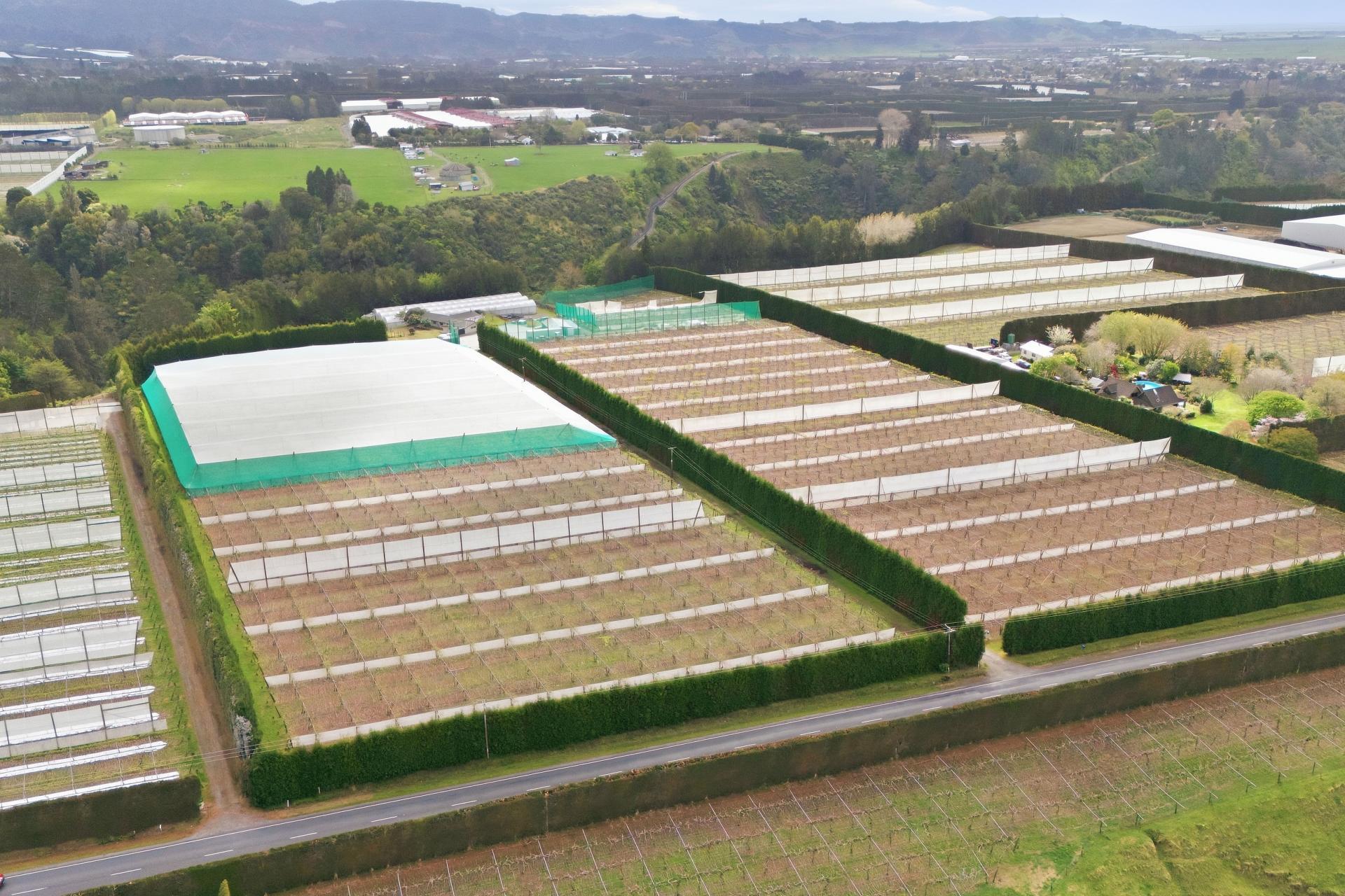 364 Te Matai Road, Te Puke