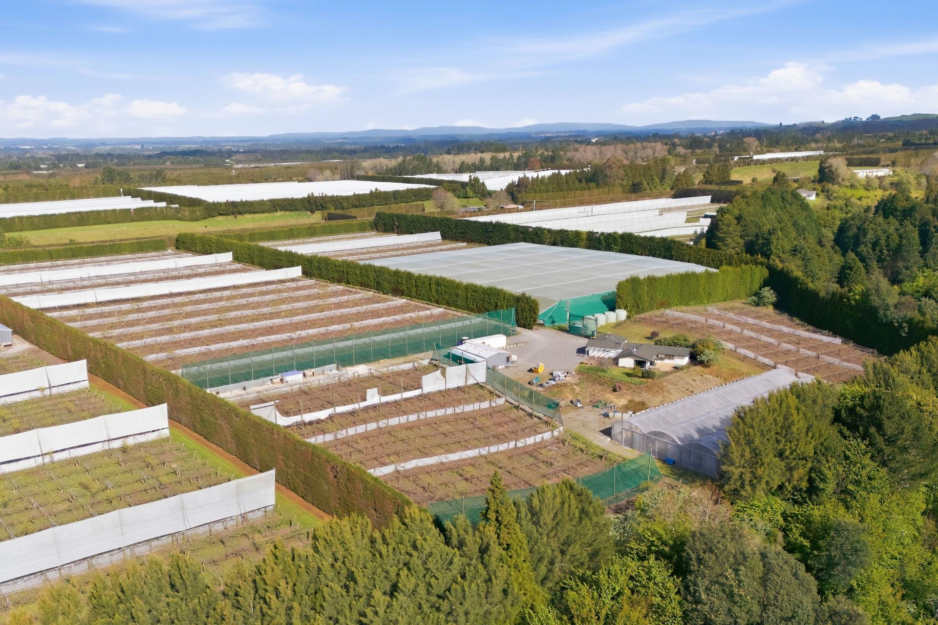 364 Te Matai Road, Te Puke
