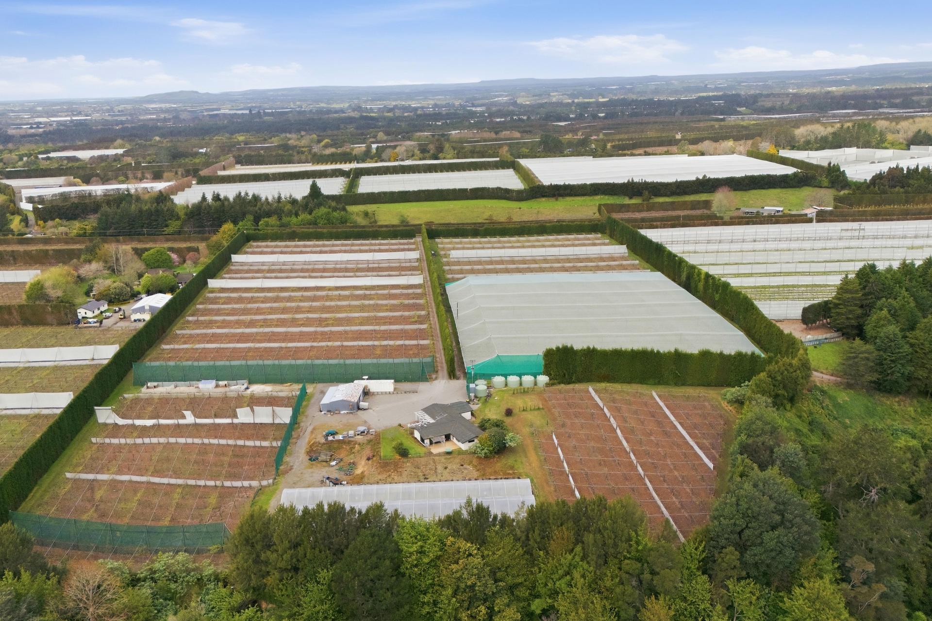 364 Te Matai Road, Te Puke