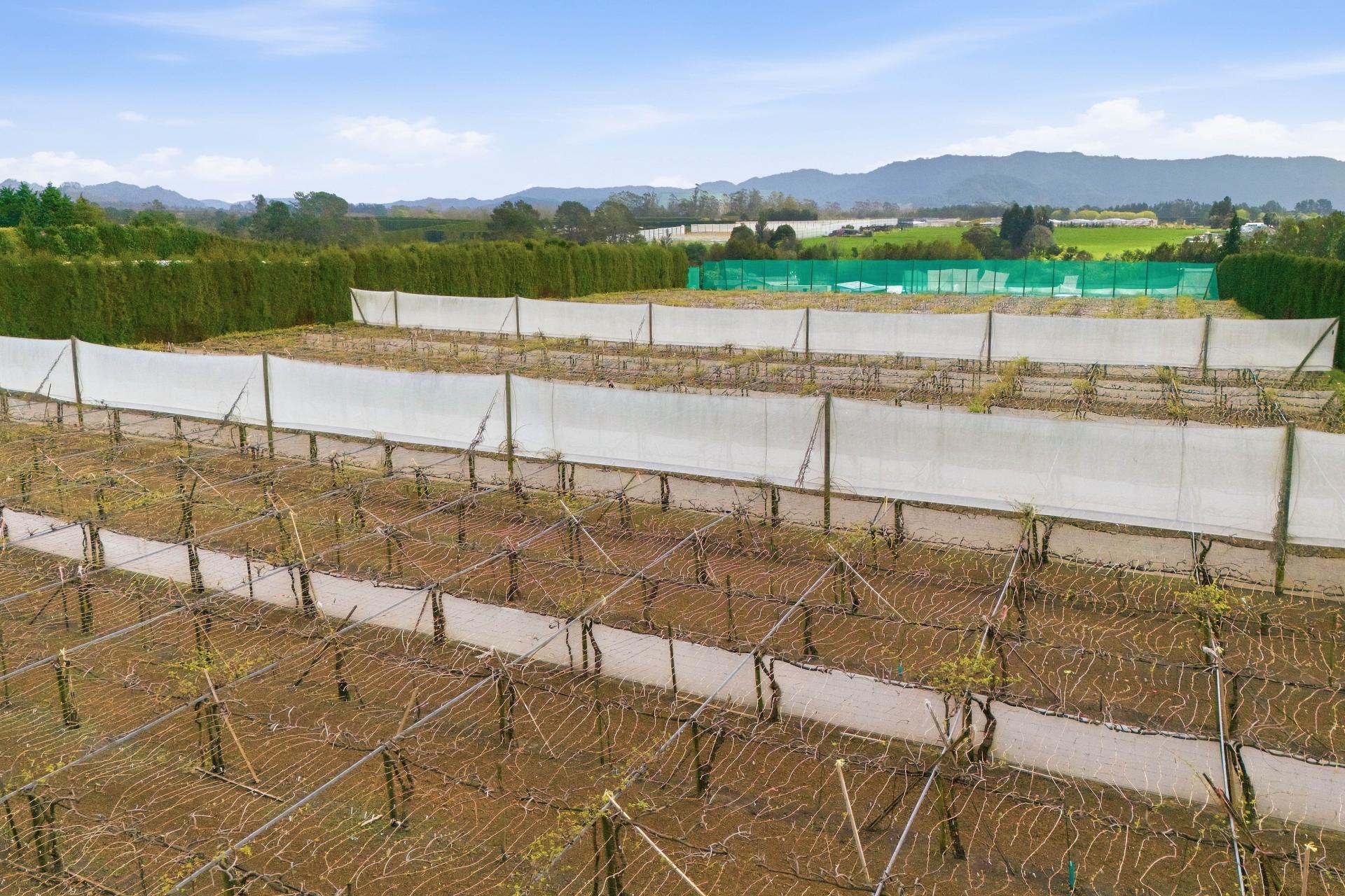 364 Te Matai Road, Te Puke