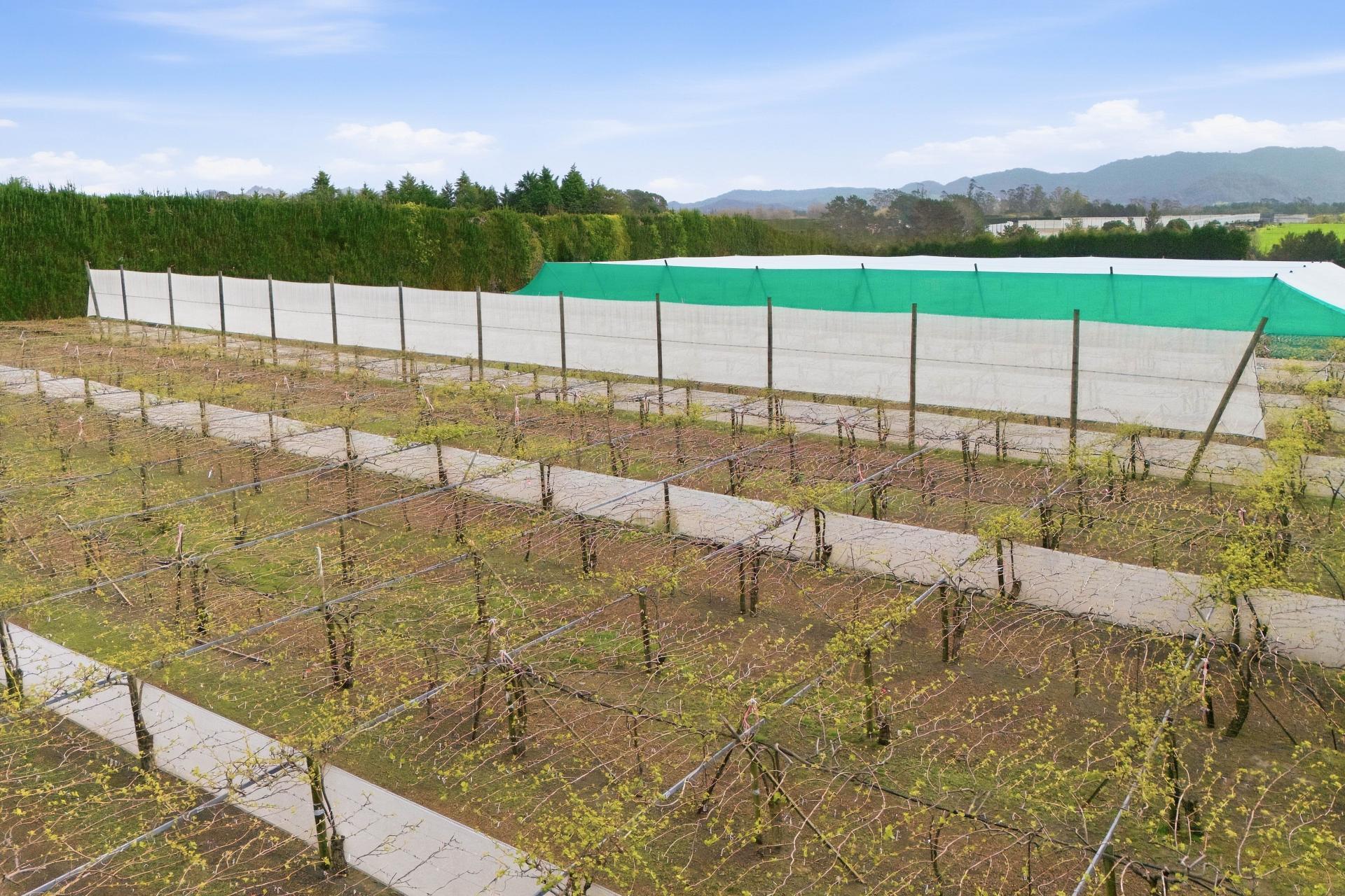 364 Te Matai Road, Te Puke