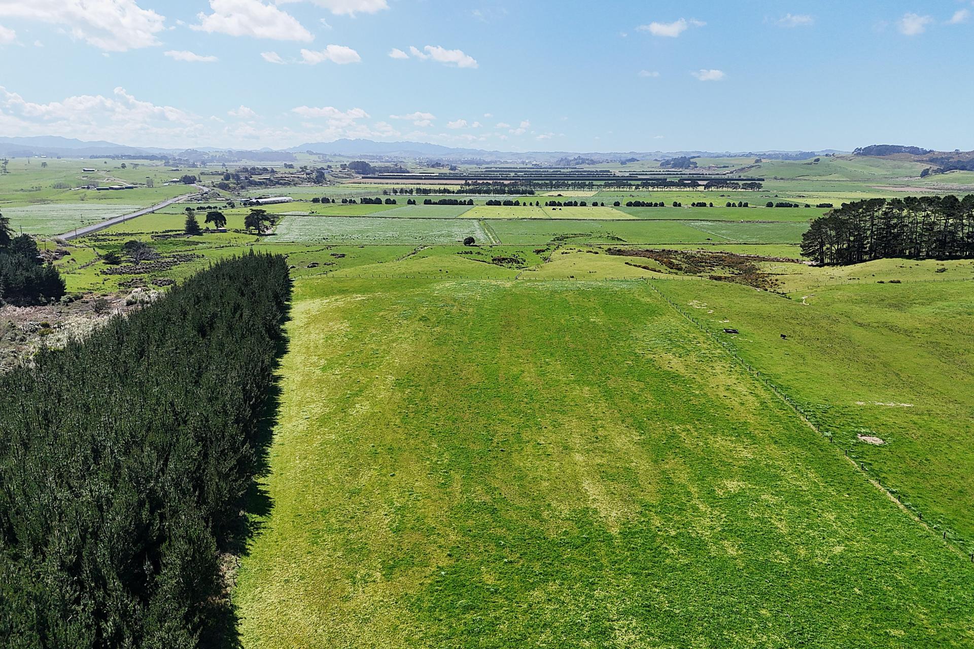 413A Baylys Coast Road, Dargaville