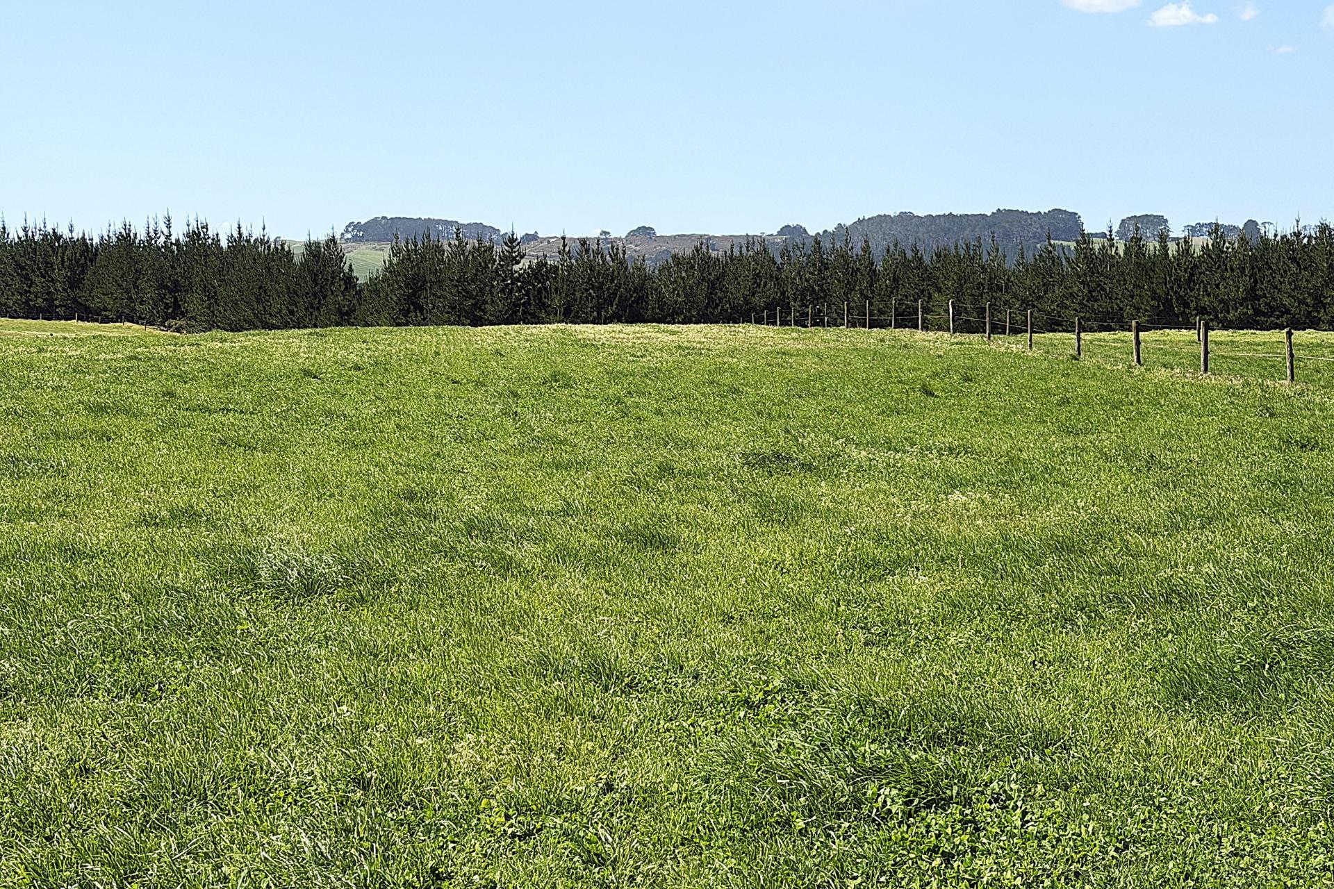 413A Baylys Coast Road, Dargaville