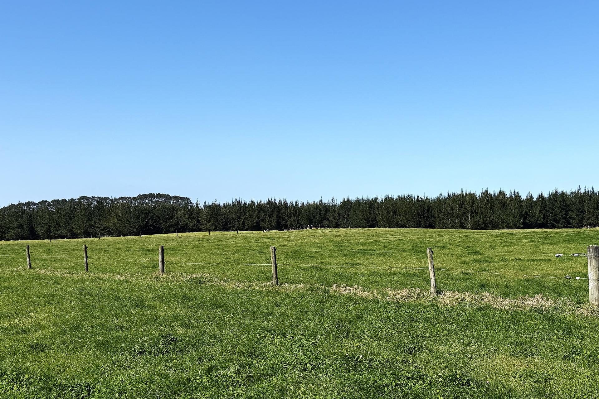 413A Baylys Coast Road, Dargaville