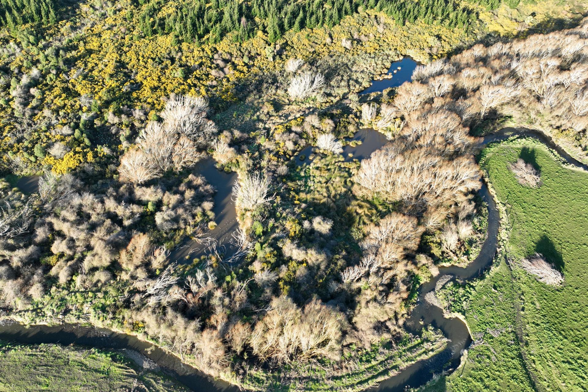 920 Dipton Mossburn Road, Castle Downs