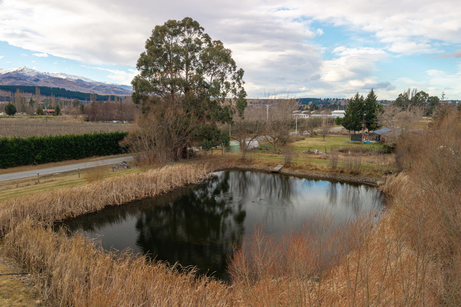 Fraser Road, Alexandra