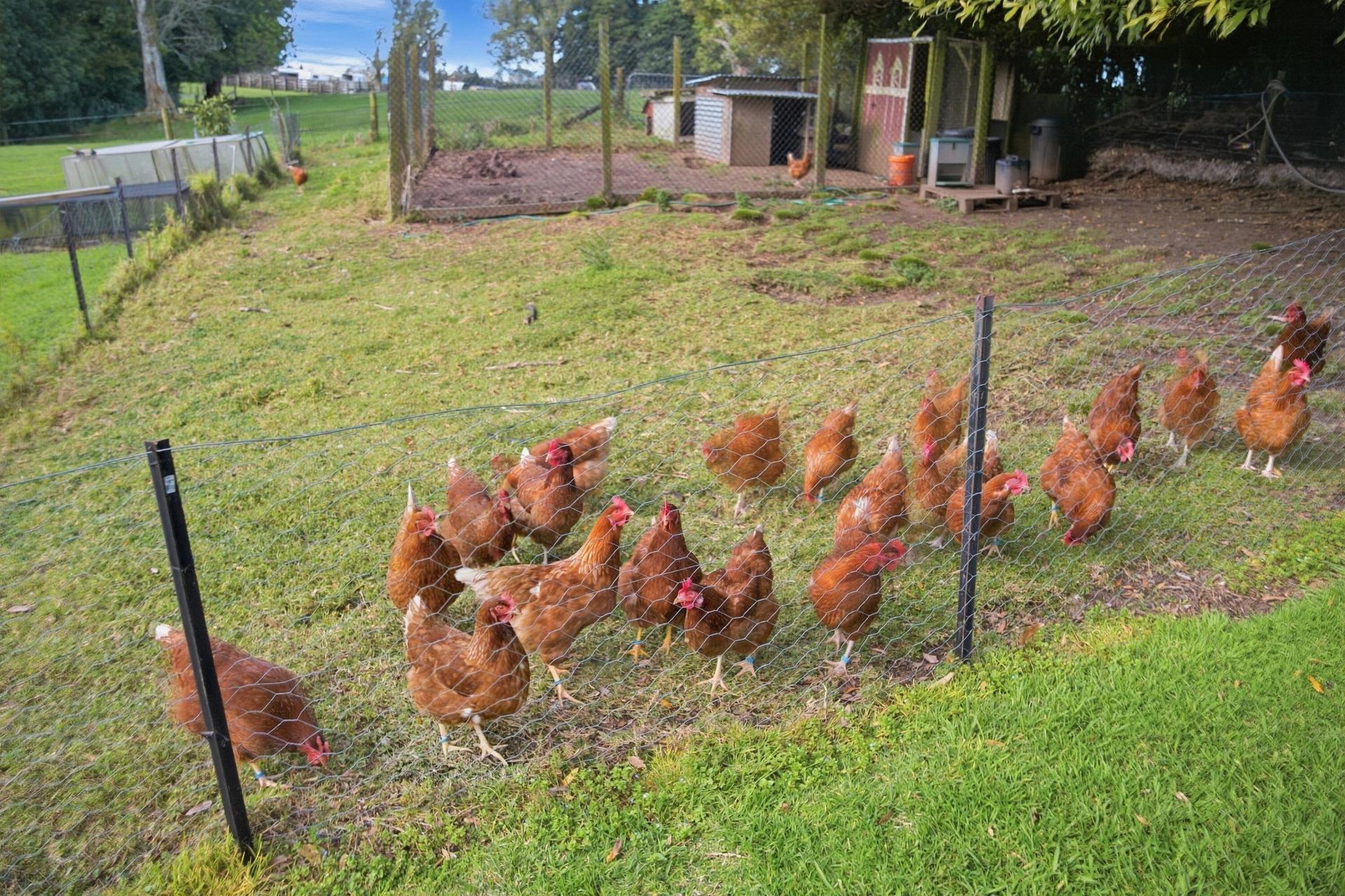 950B No 2 Road, Te Puke