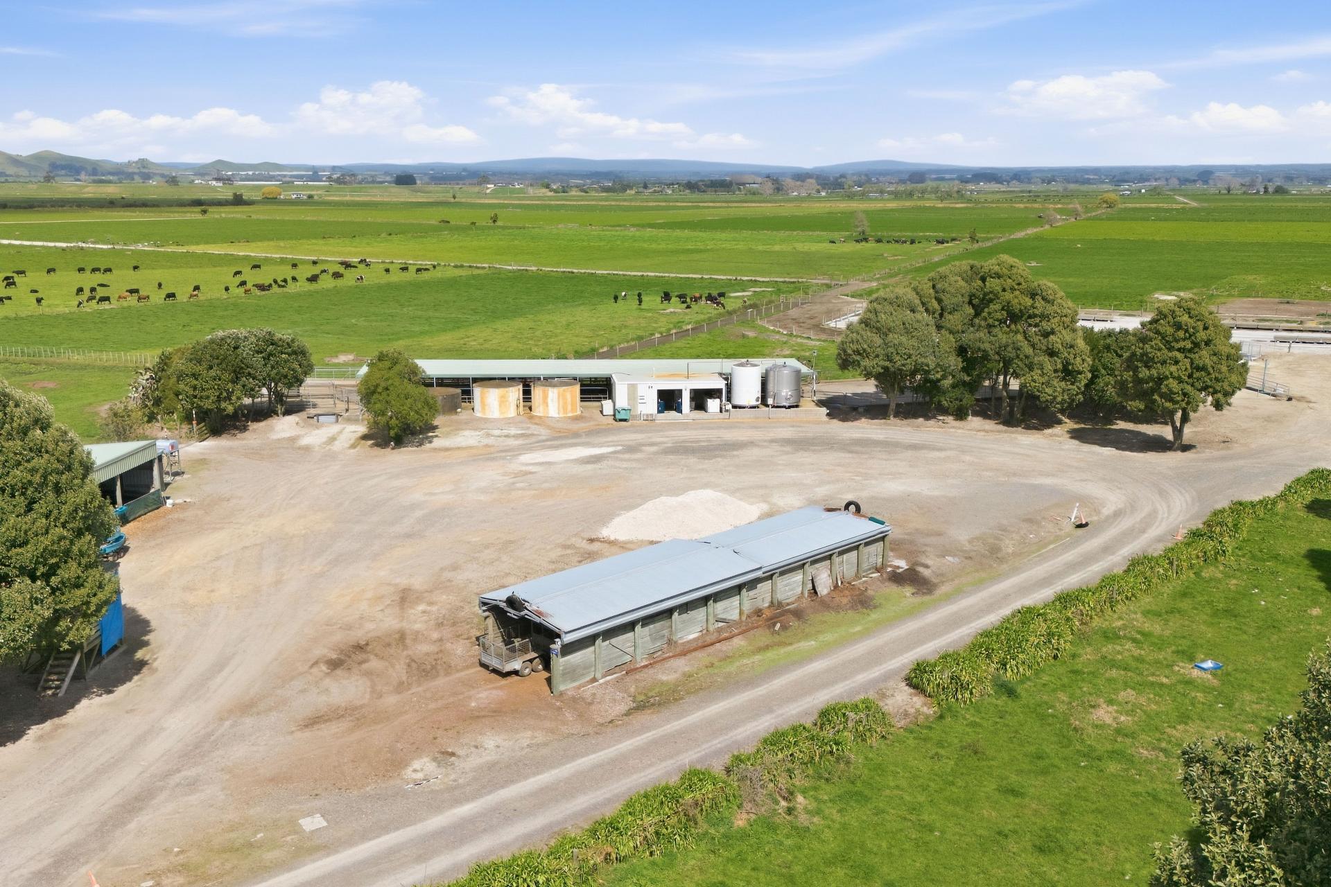 2 Gardiner Place, Pukehina