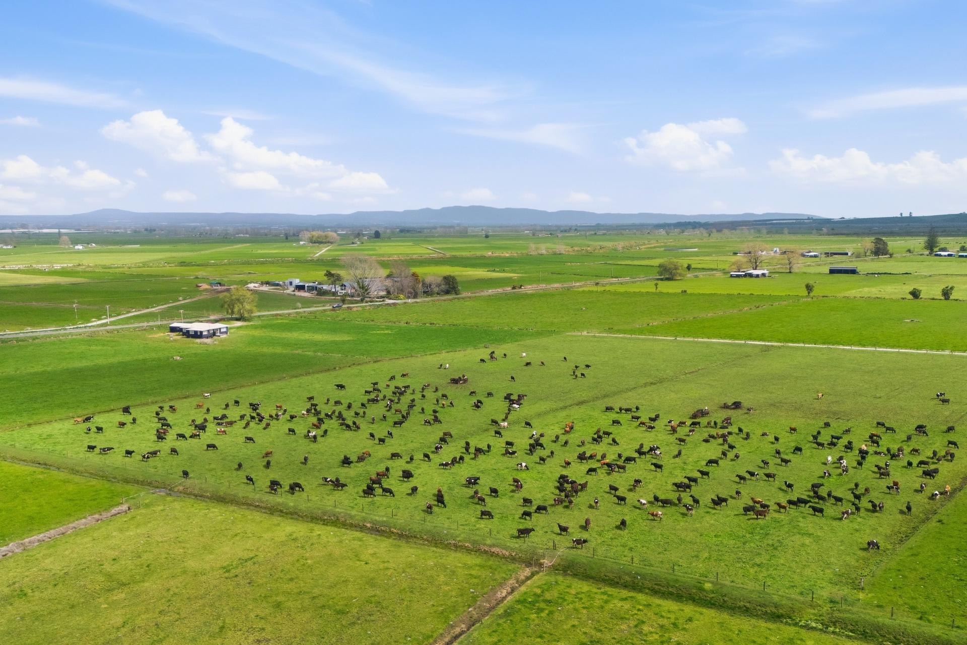 155 Cutwater Road, Pukehina