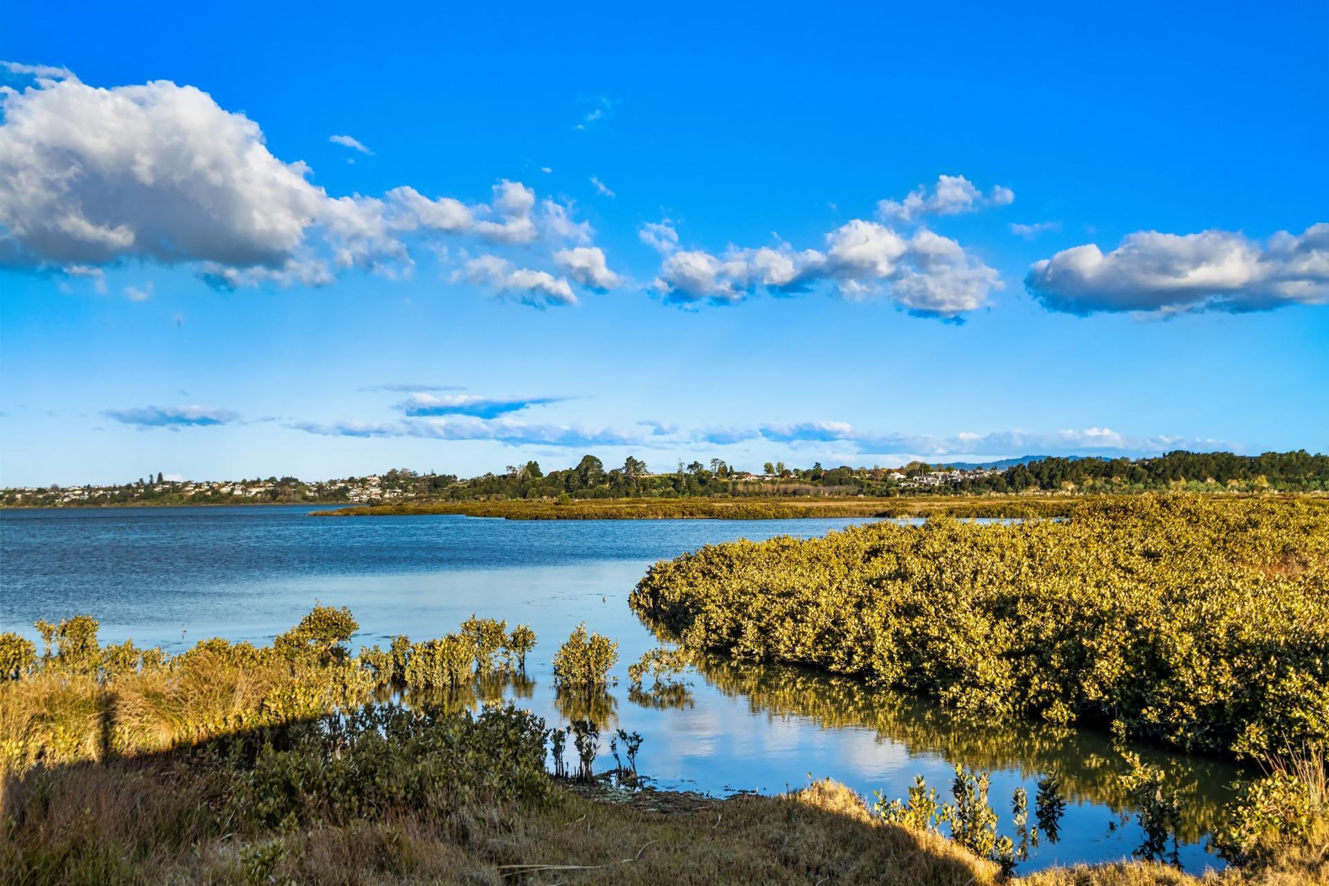 139 Lochhead Road, Te Puna