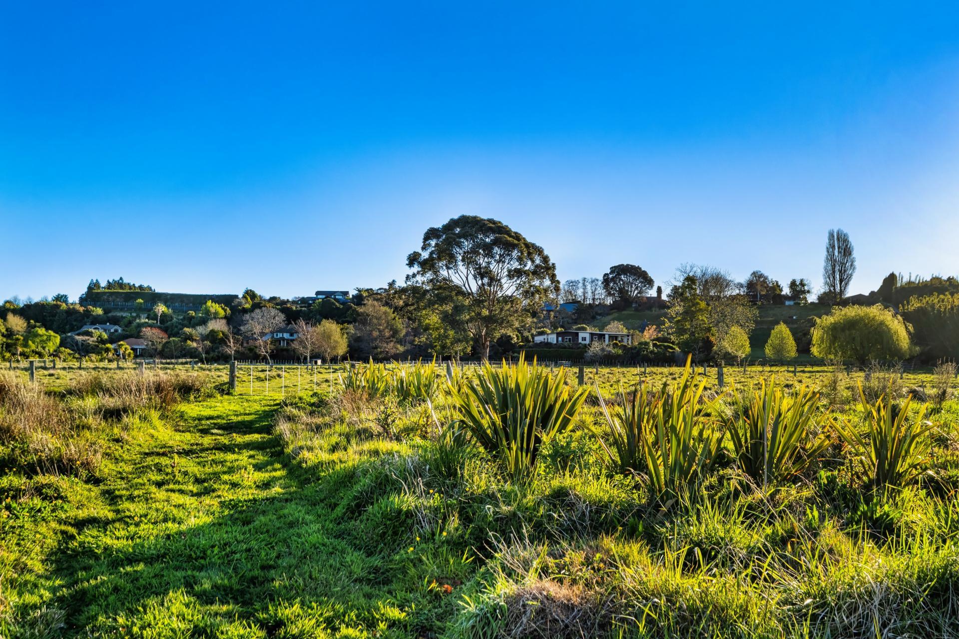 139 Lochhead Road, Te Puna